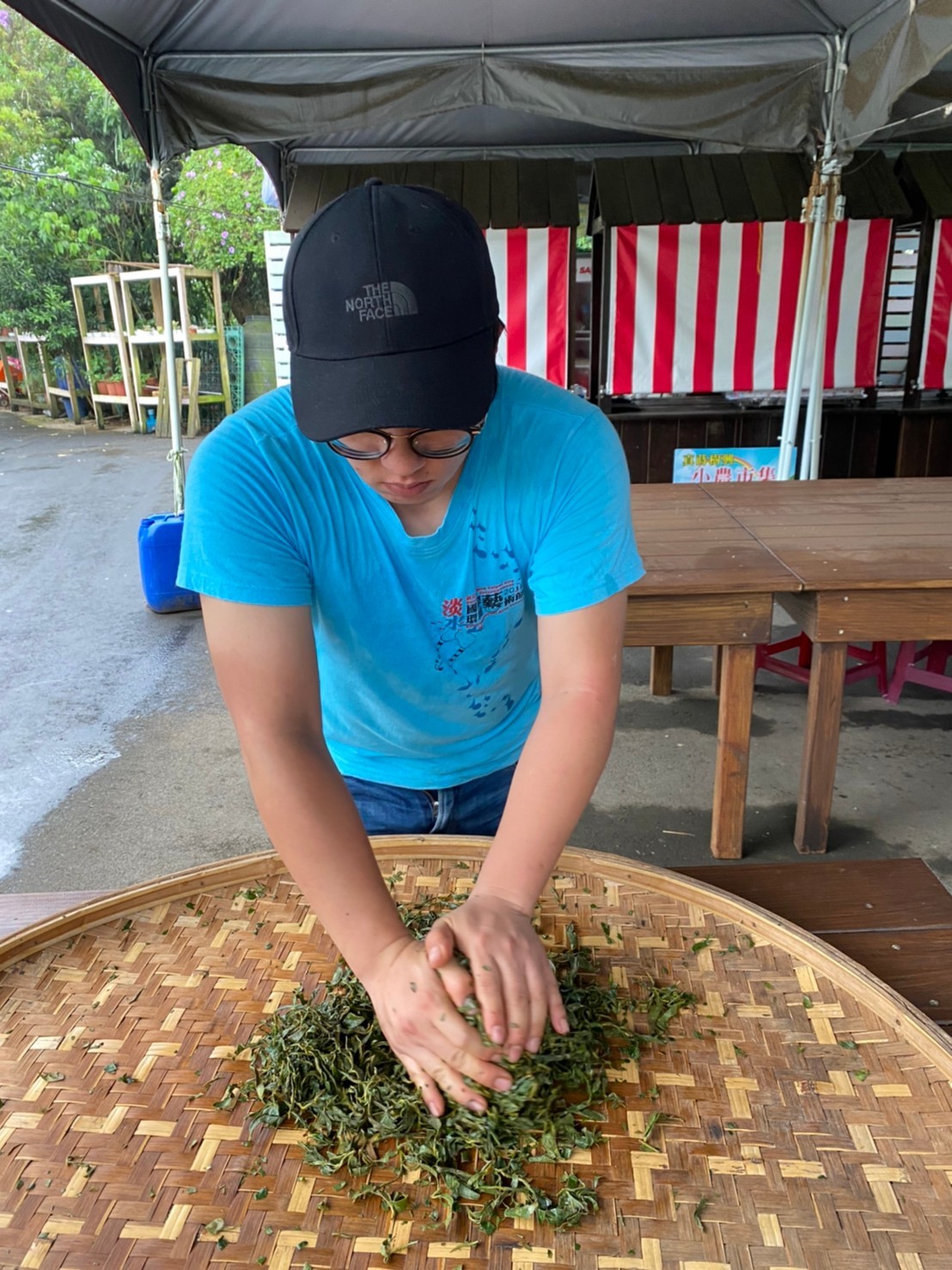 樹興社區青年返鄉發展蒔茶產業