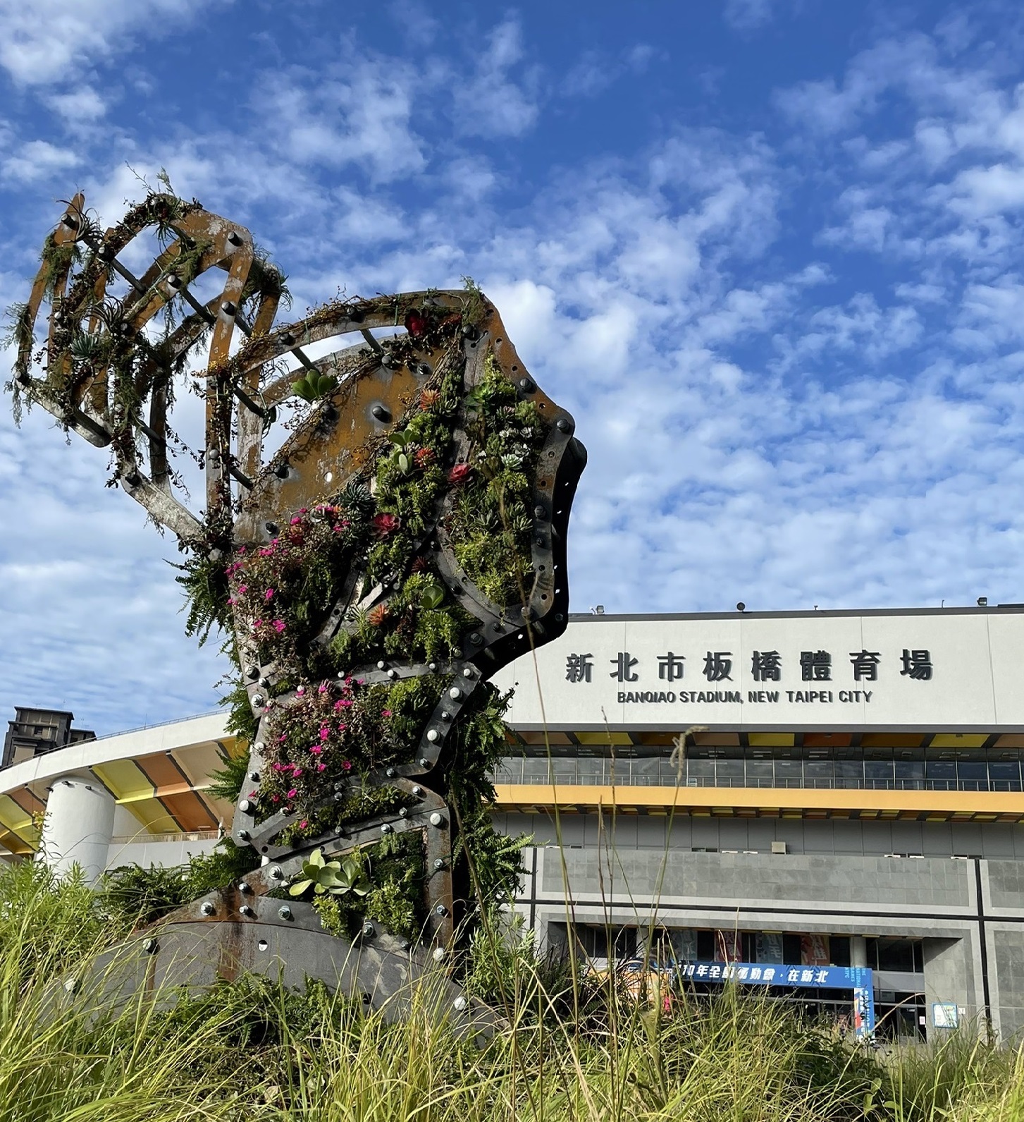 景觀處以北海岸常見植物雕塑立體女王頭