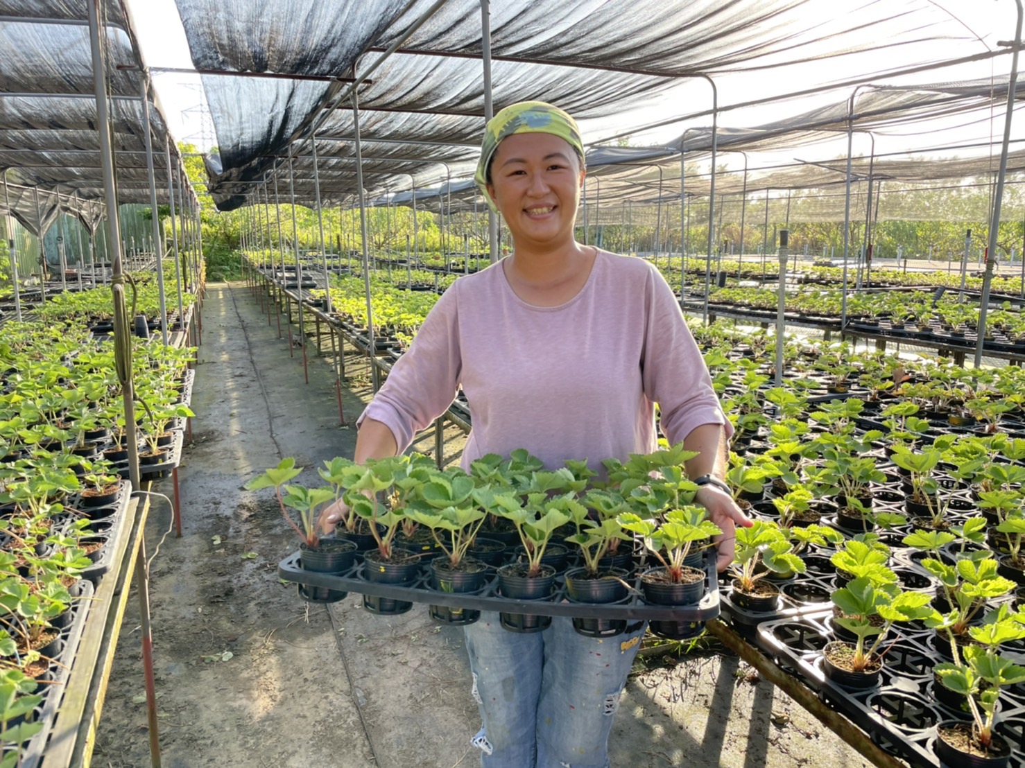 三芝女青農陳韻如