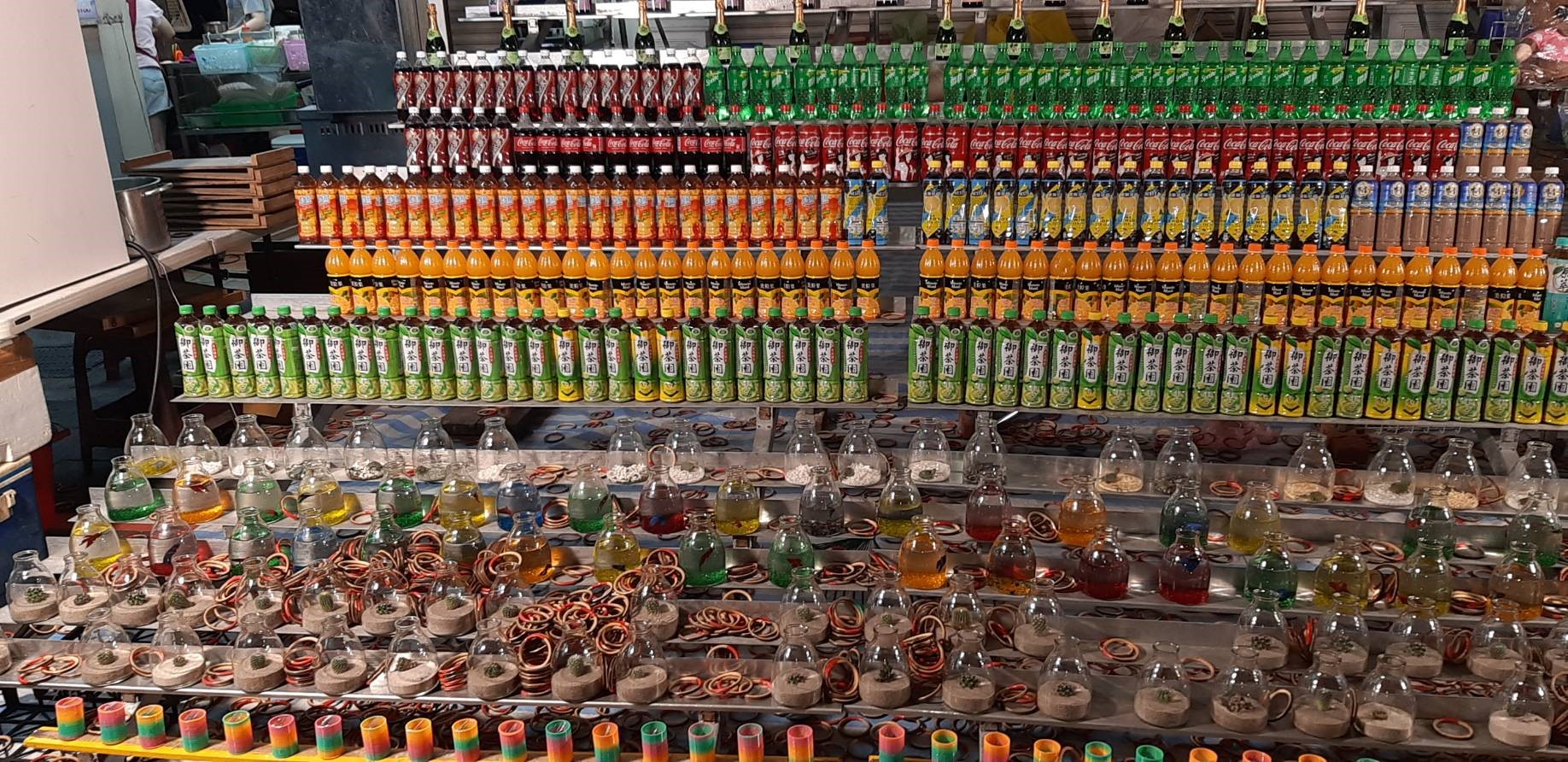 圖中可見多樣物品陳列擺設，包含烏龜等活體