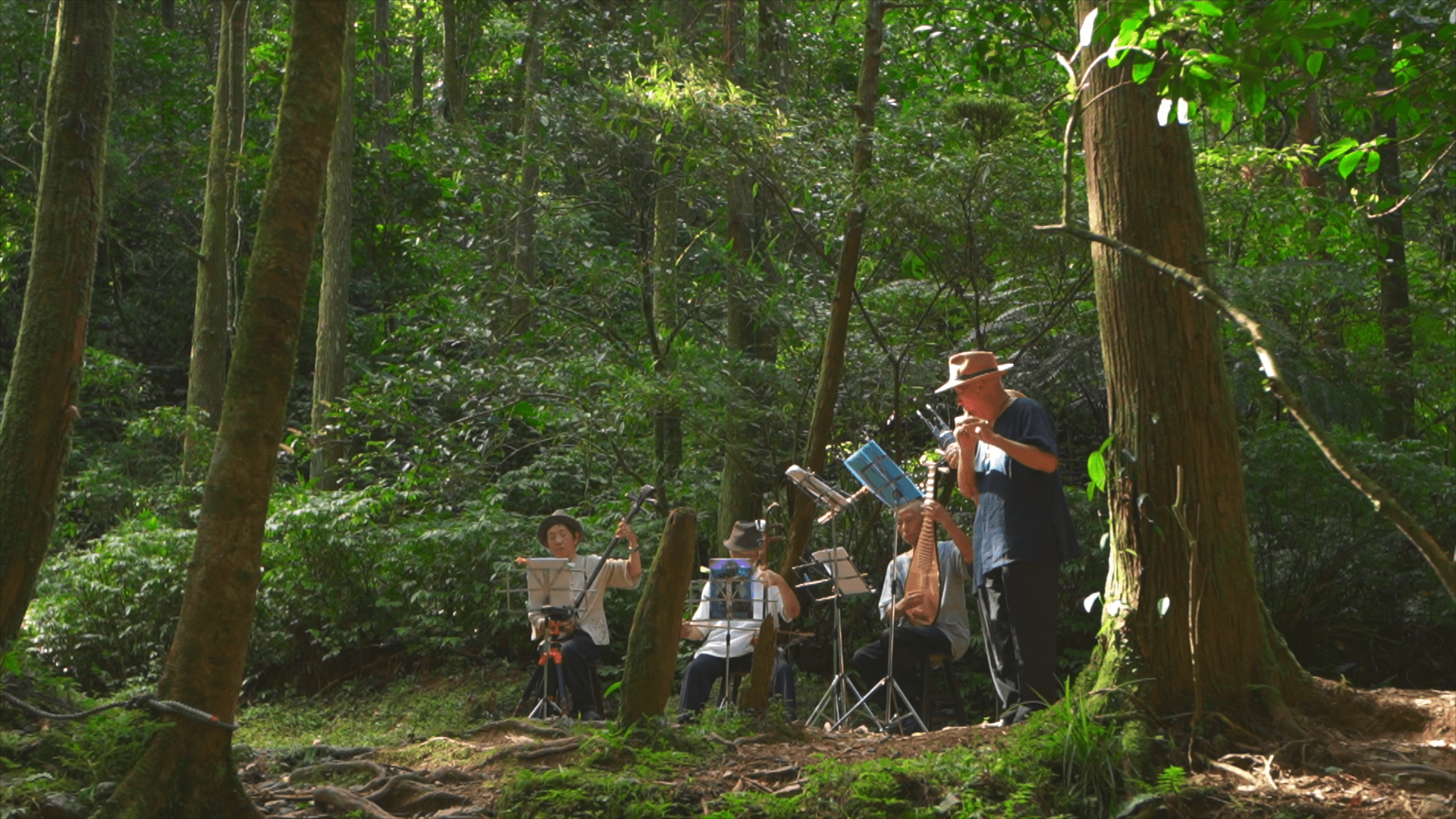 踏上淡蘭古道演奏古曲，透過音樂演繹出人與動植物的生命互動