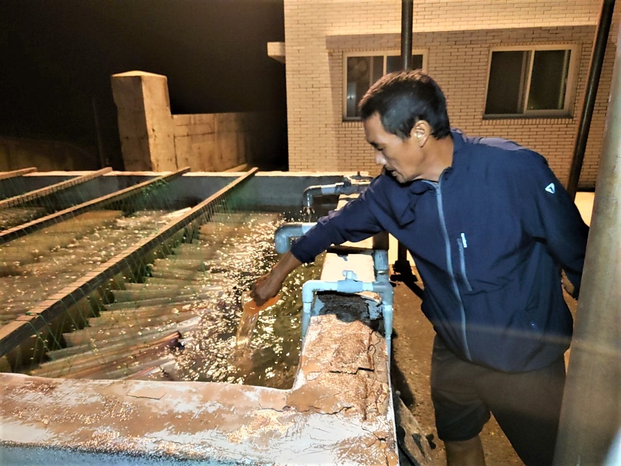 培育人員小心的將已經開始發育的受精卵移至育苗池中照料。
