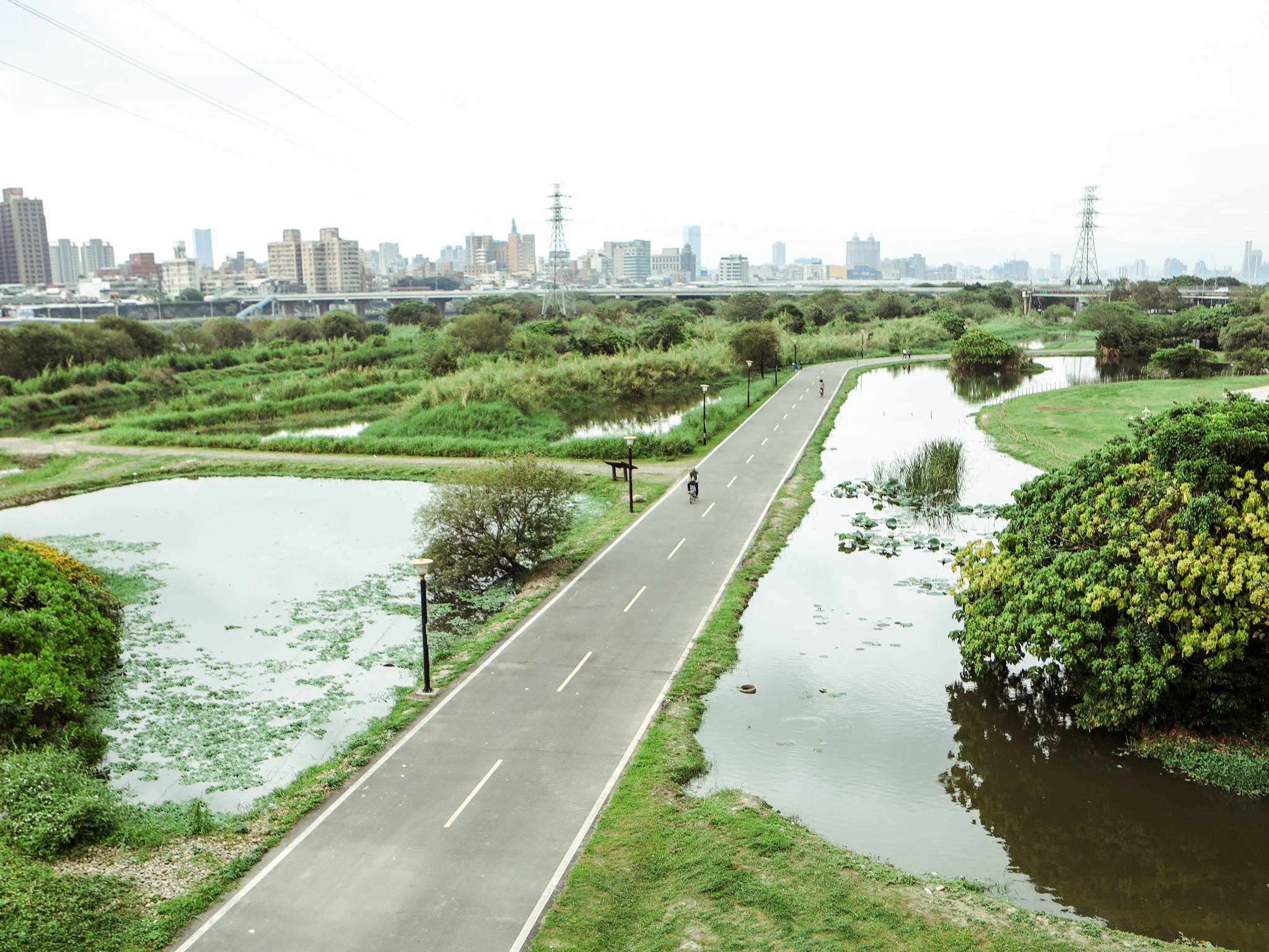 騎行濕地，欣賞新海二期人工濕地美景