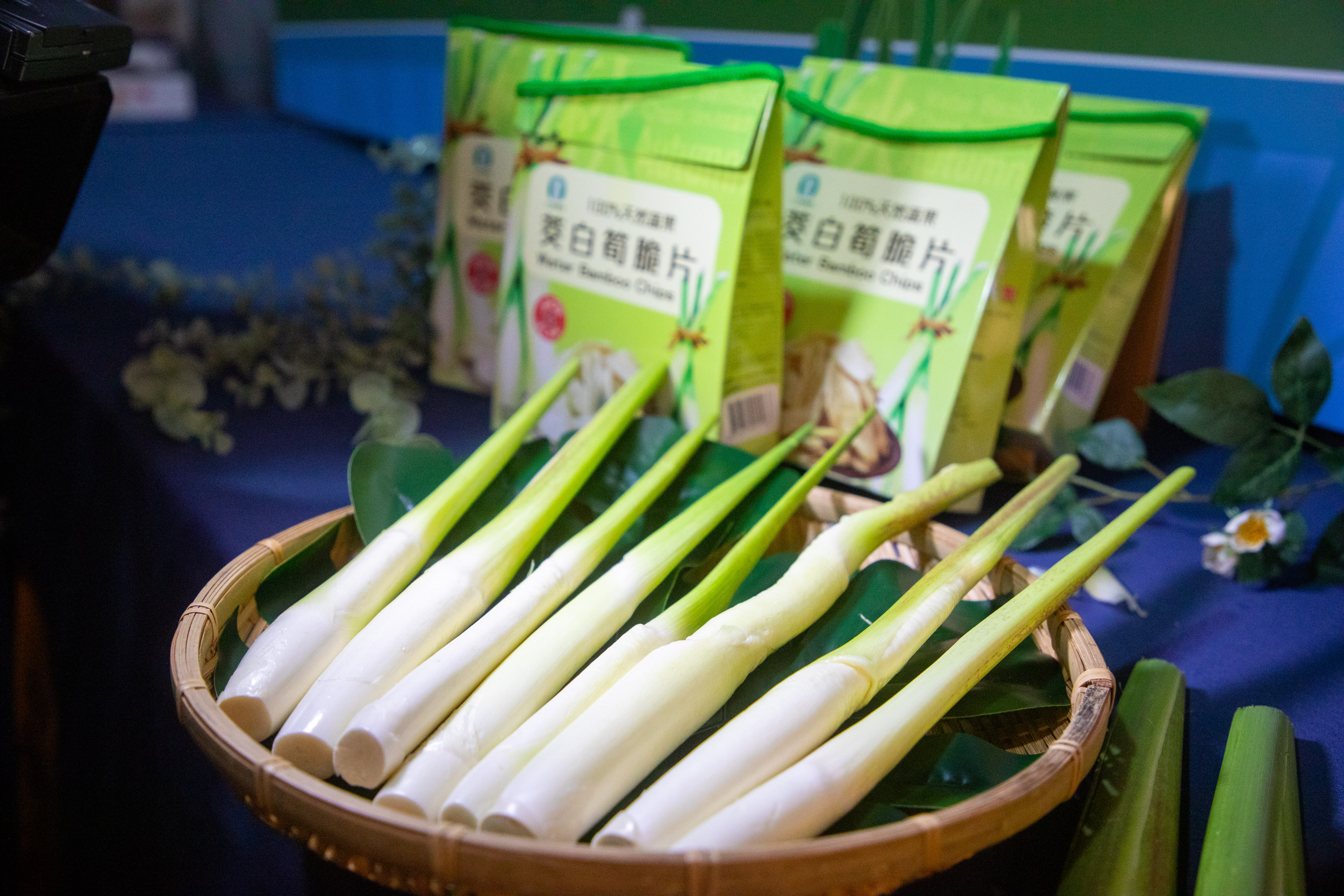 新北市三芝茭白筍新鮮上市