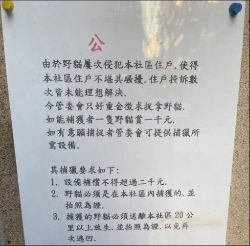 社區張貼懸賞捕貓公告(臉書照片翻拍)