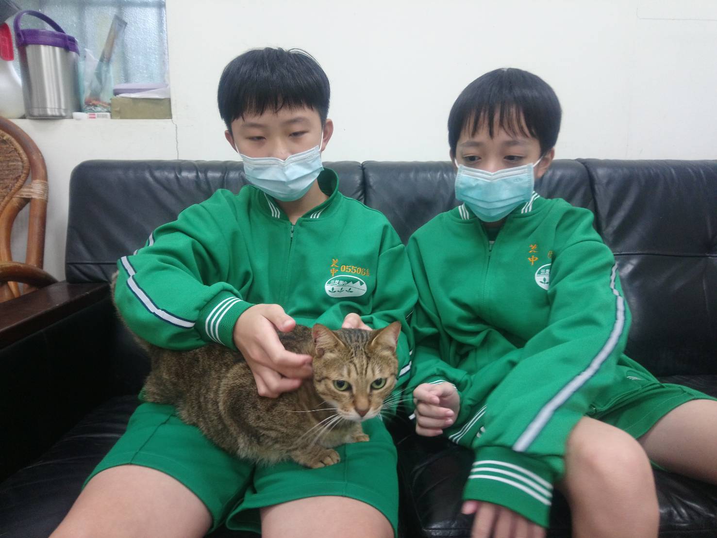 圖片2：和貓咪互動是很特別的體驗。