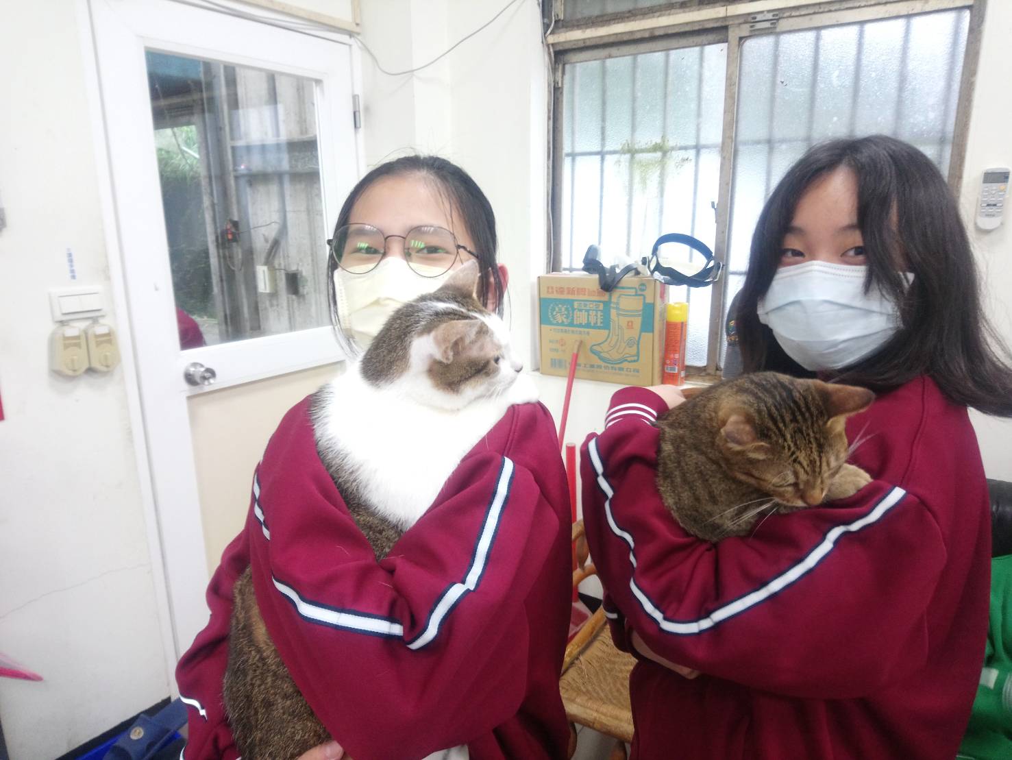 圖片4：國中孩子們學習如何正確抱貓。