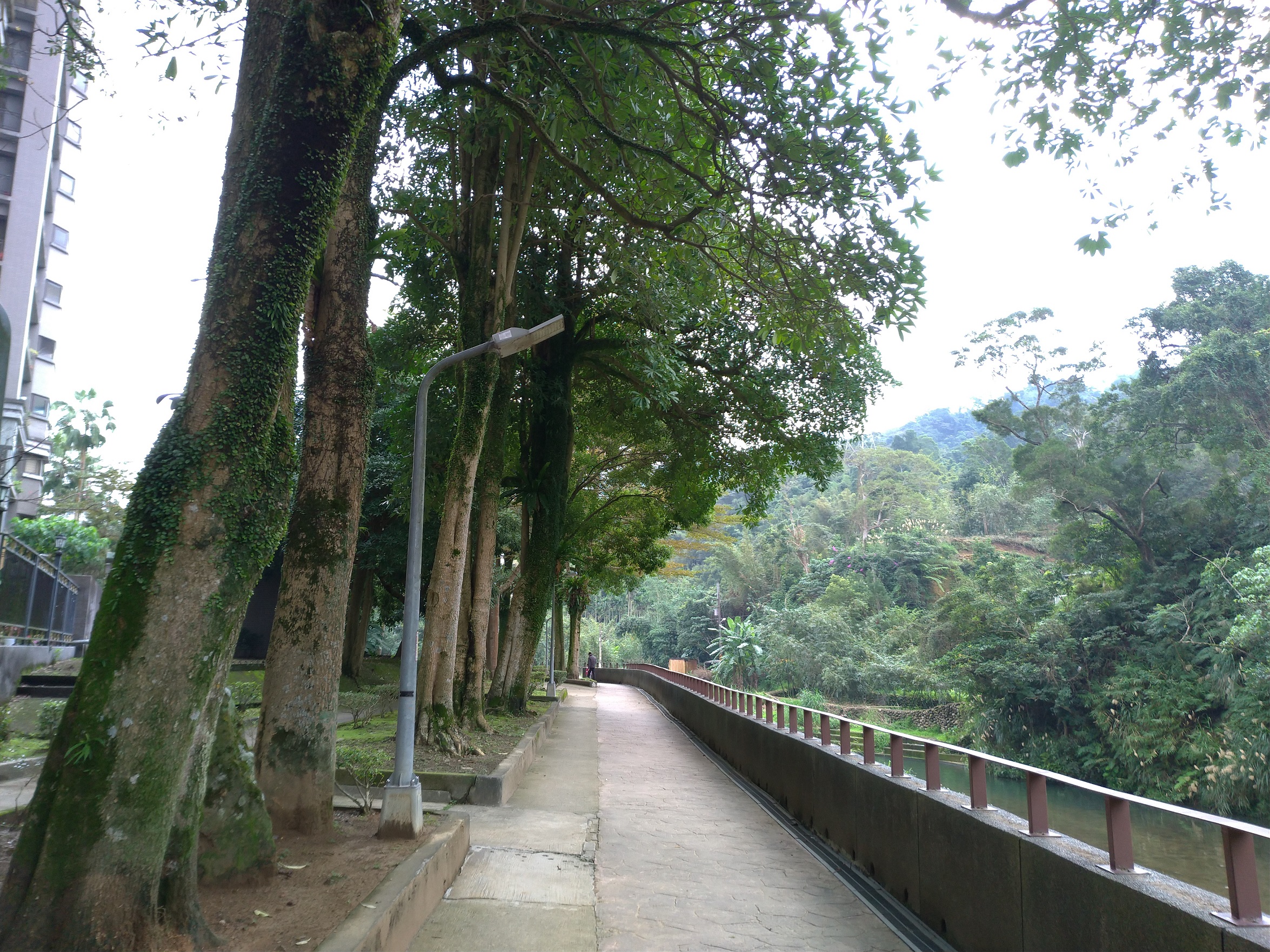 假日想享受森林浴，青潭河濱公園是一個很棒的新選擇