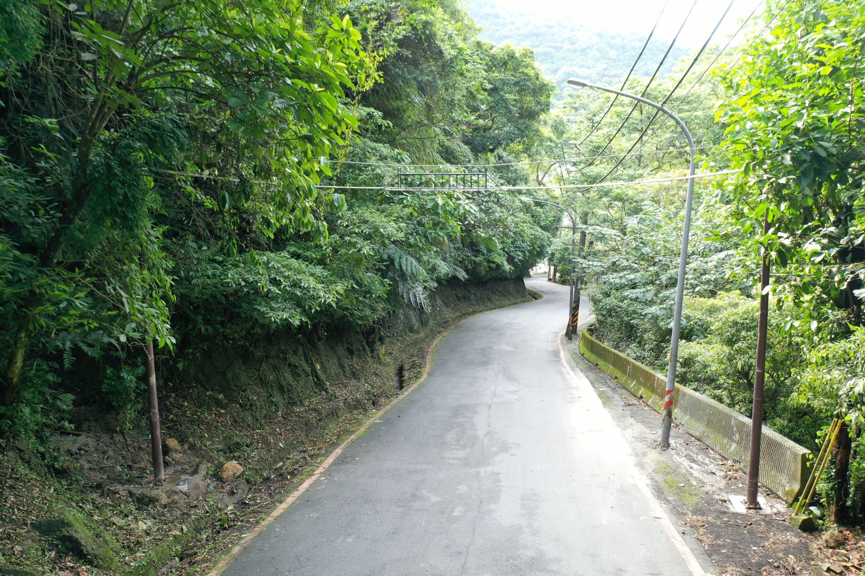 於道路兩側樹冠不相連處增設空中廊道