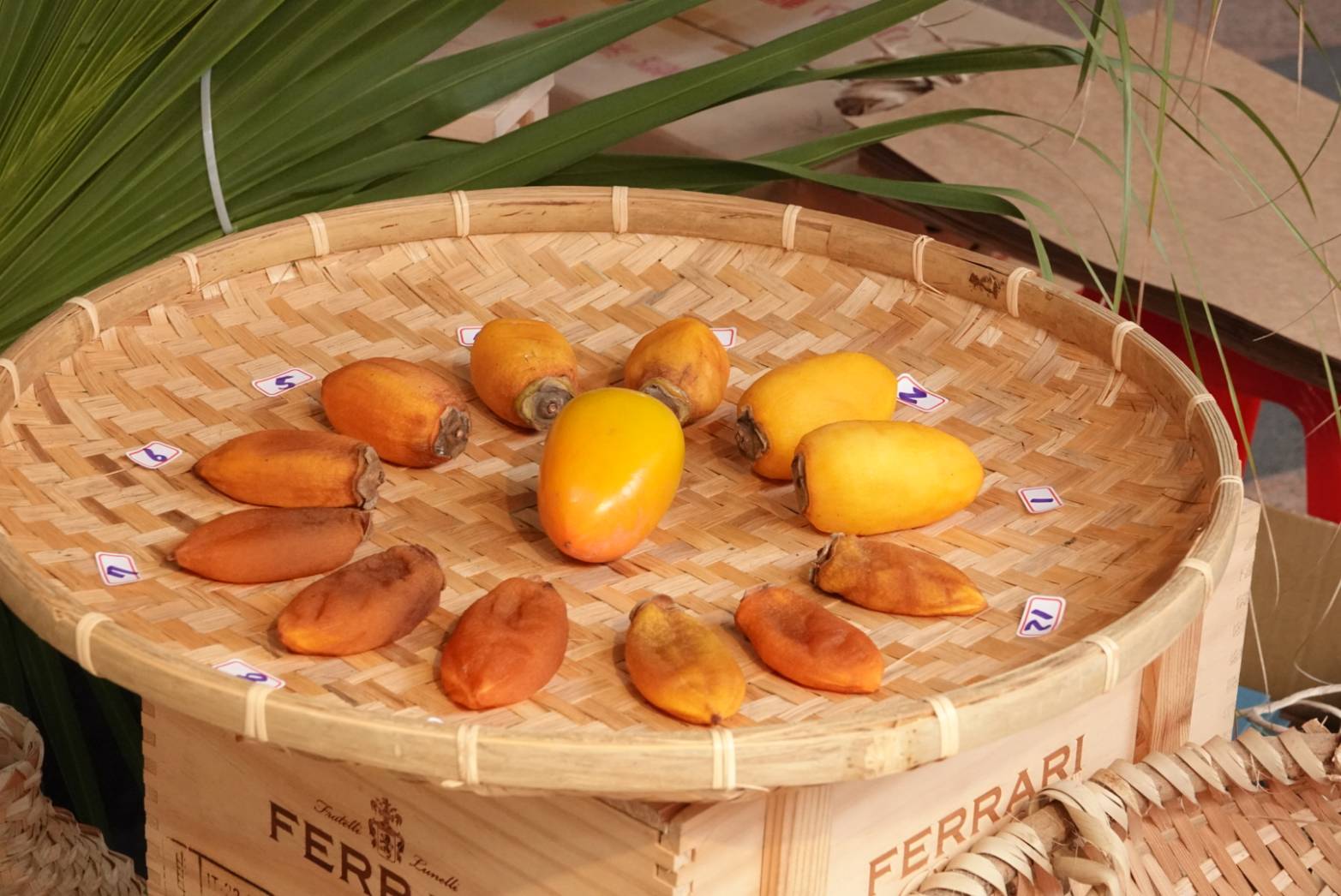 由筆柿製作的柿餅