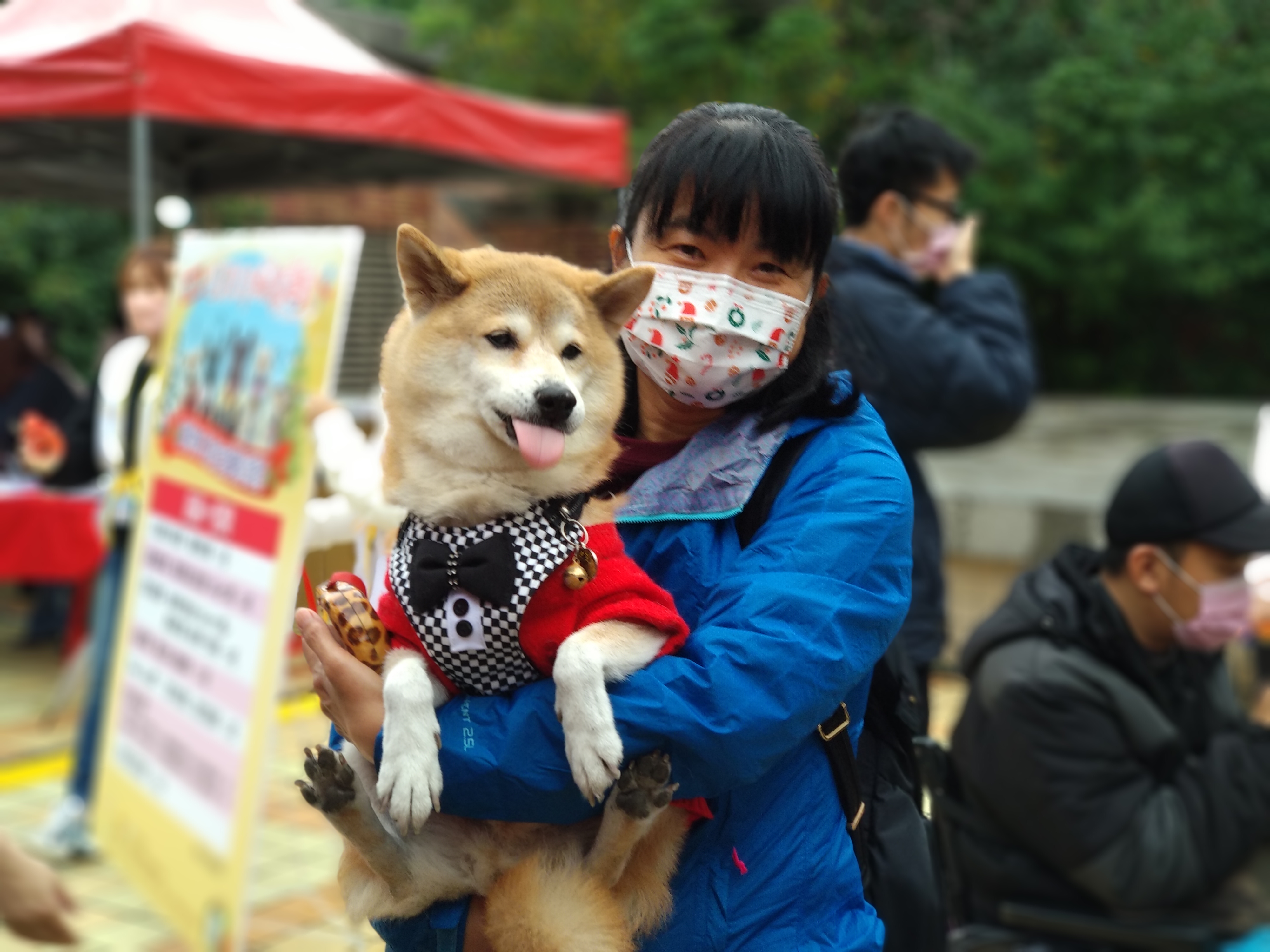 幫犬貓穿上衣服首先要看狗是長毛或短毛，只有出現感冒症狀、心血管疾病或小型 犬貓出門早晚溫差大時，才需要穿衣服。