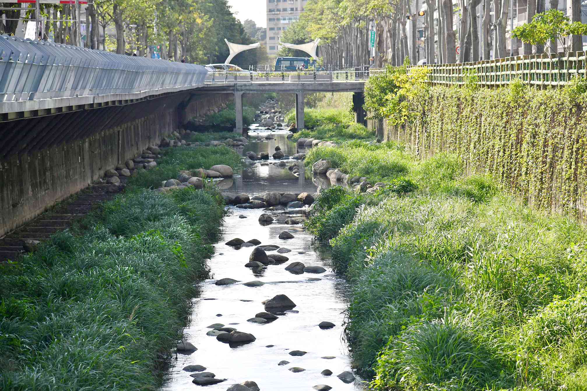 藤寮坑溝透過砌石增加水流曝保留淨化水質的植物，提升周邊生態環境