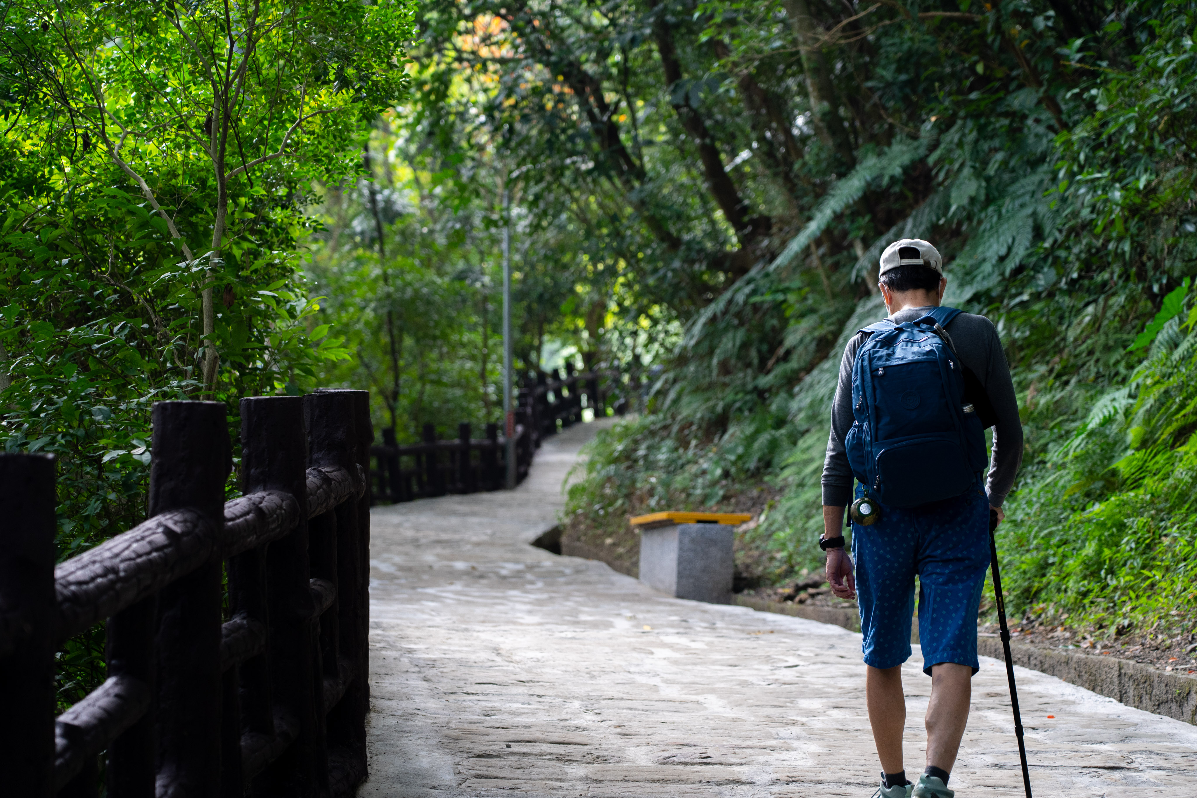 微笑山線土城朝山步道