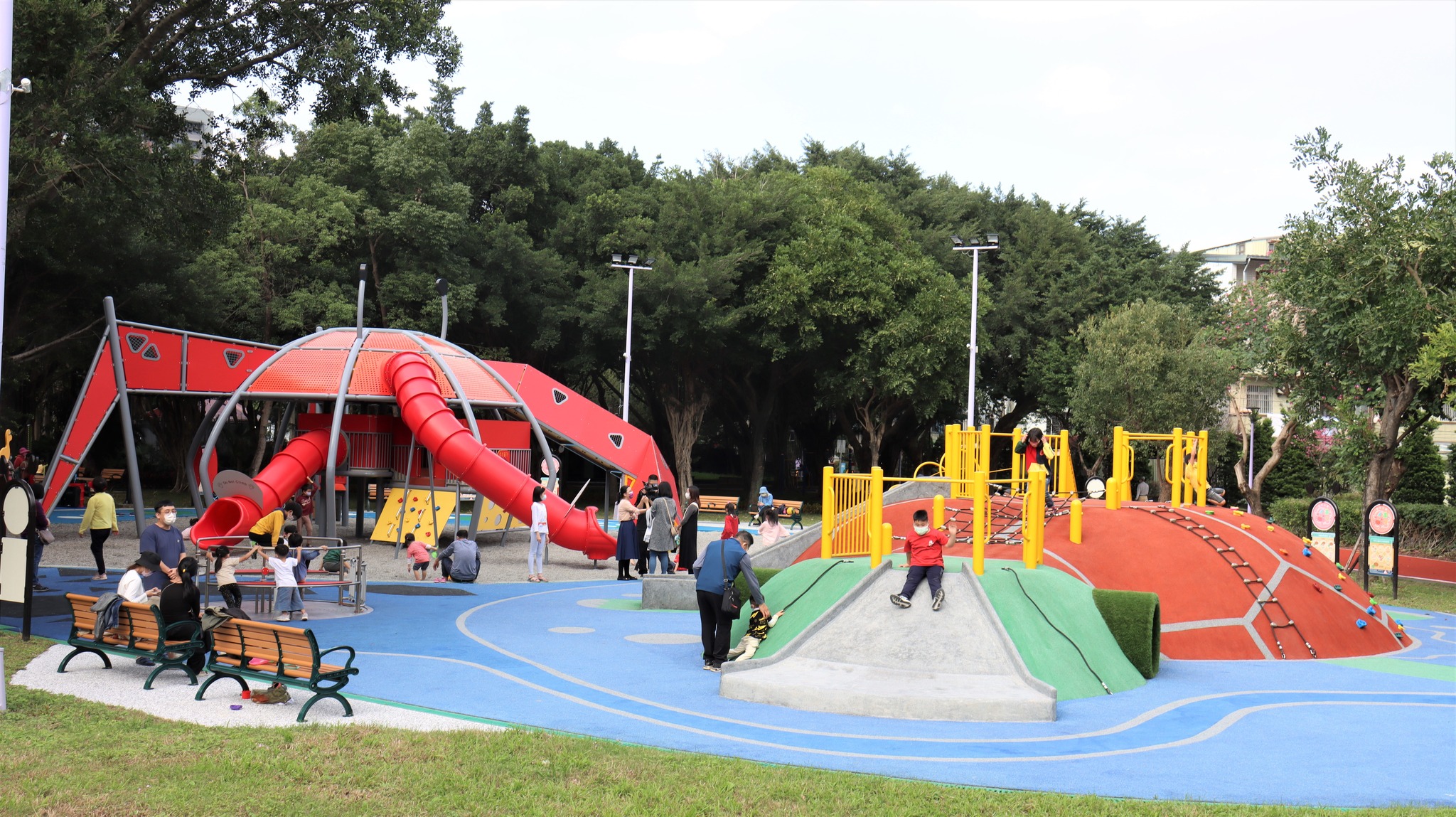 環河公園的巨大招潮蟹與河龜
