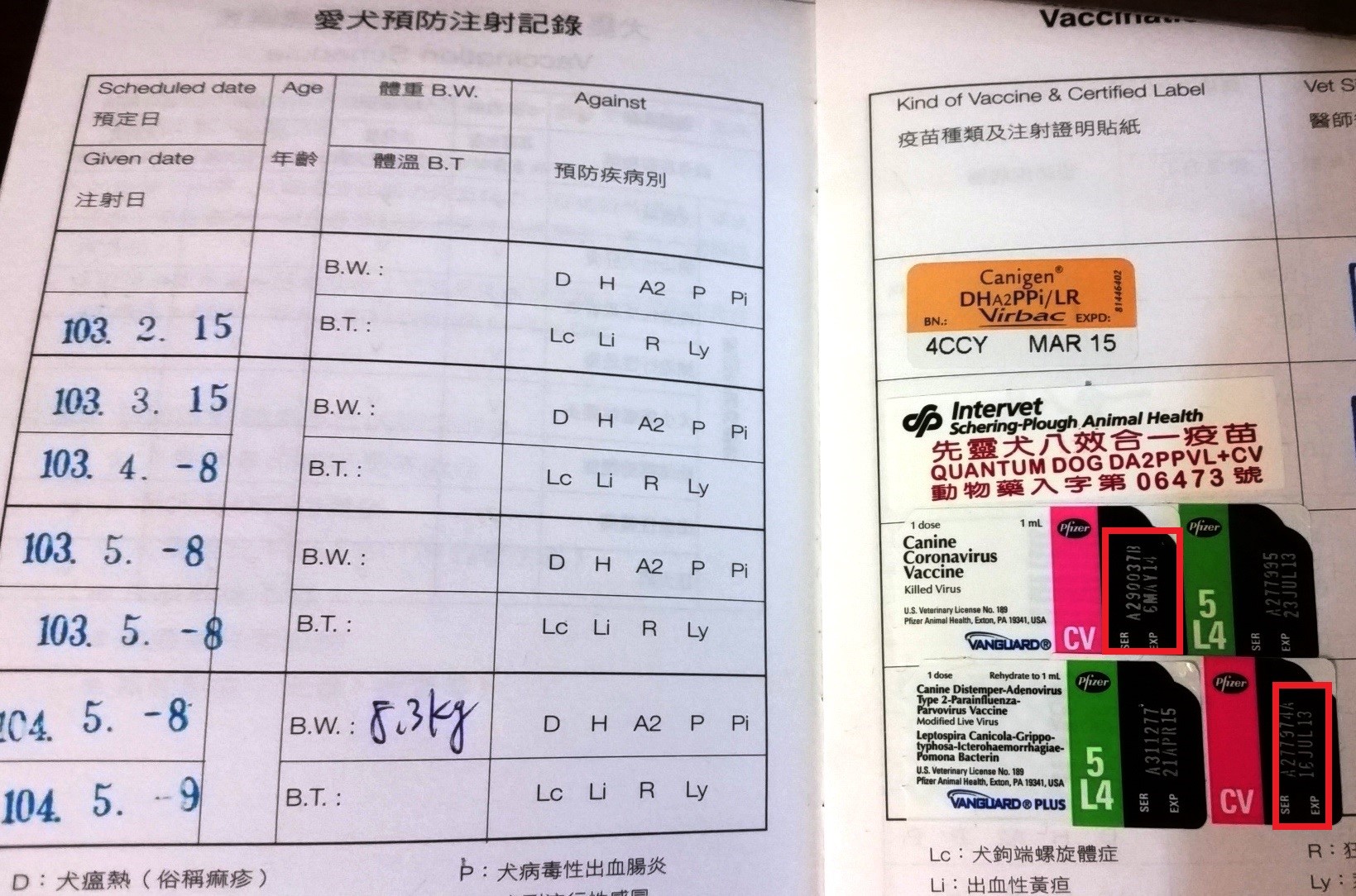 使用藥品須謹慎，故意使用過期動物用藥品治療動物或調劑，可被裁處3萬元至10萬元以下罰鍰。