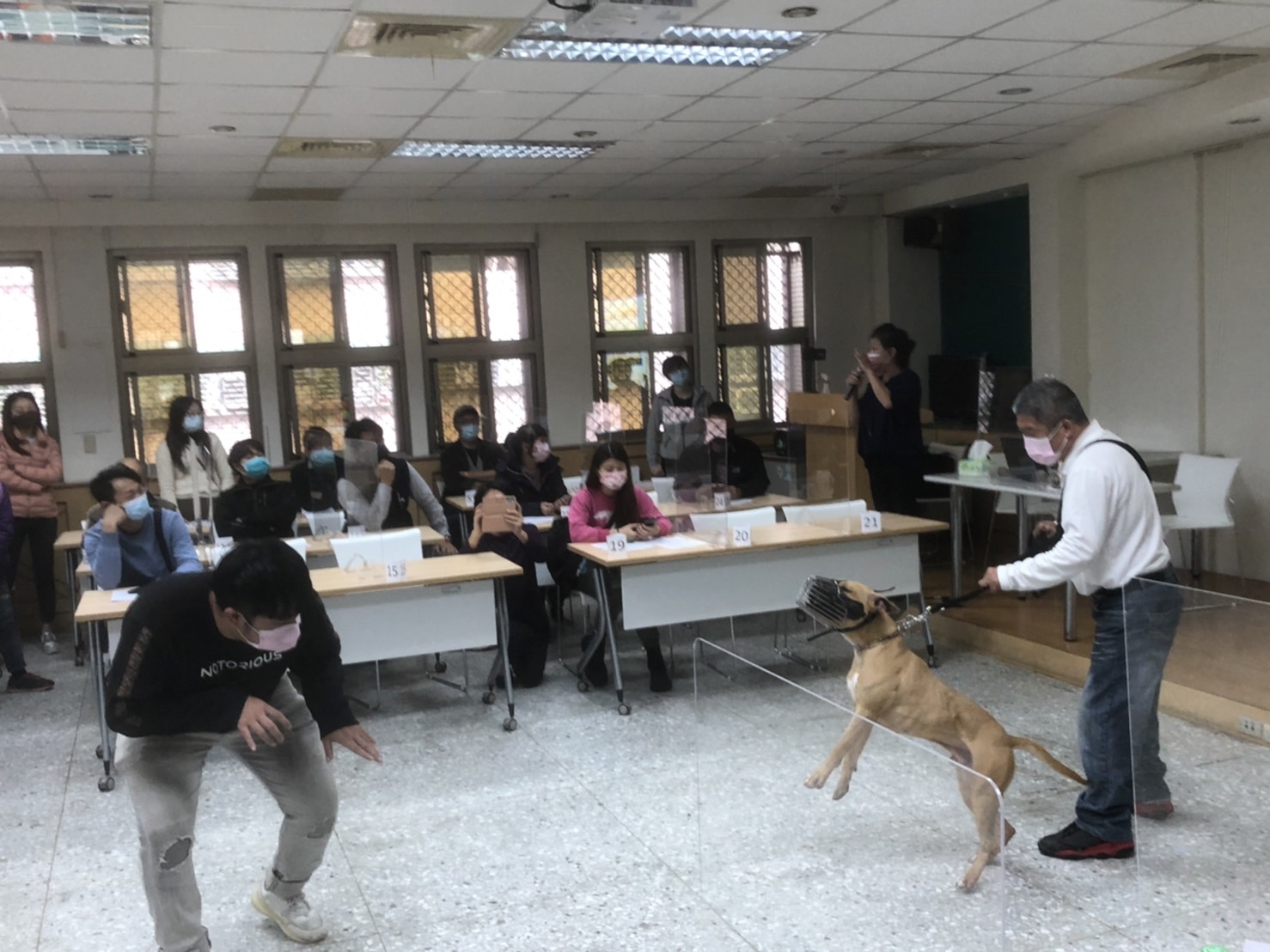 訓練師示範比特護衛行為