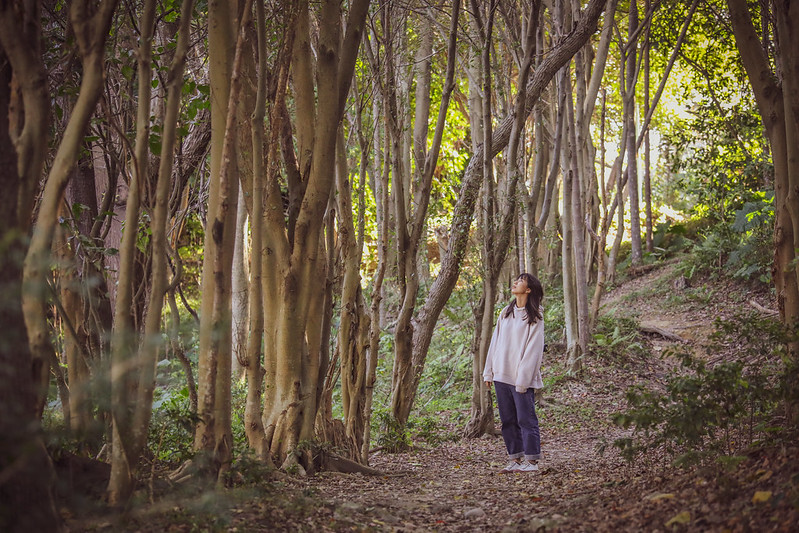 城市覓徑-市民爬山不用到郊區，位於人口密集的中和區自強公園，以樹木林立的公園空間打造不同強度的運動步道