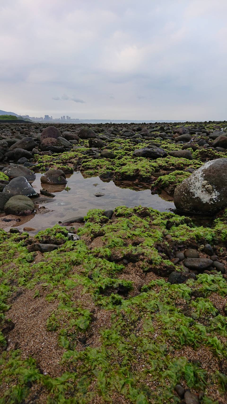 .六塊厝漁港旁海岸