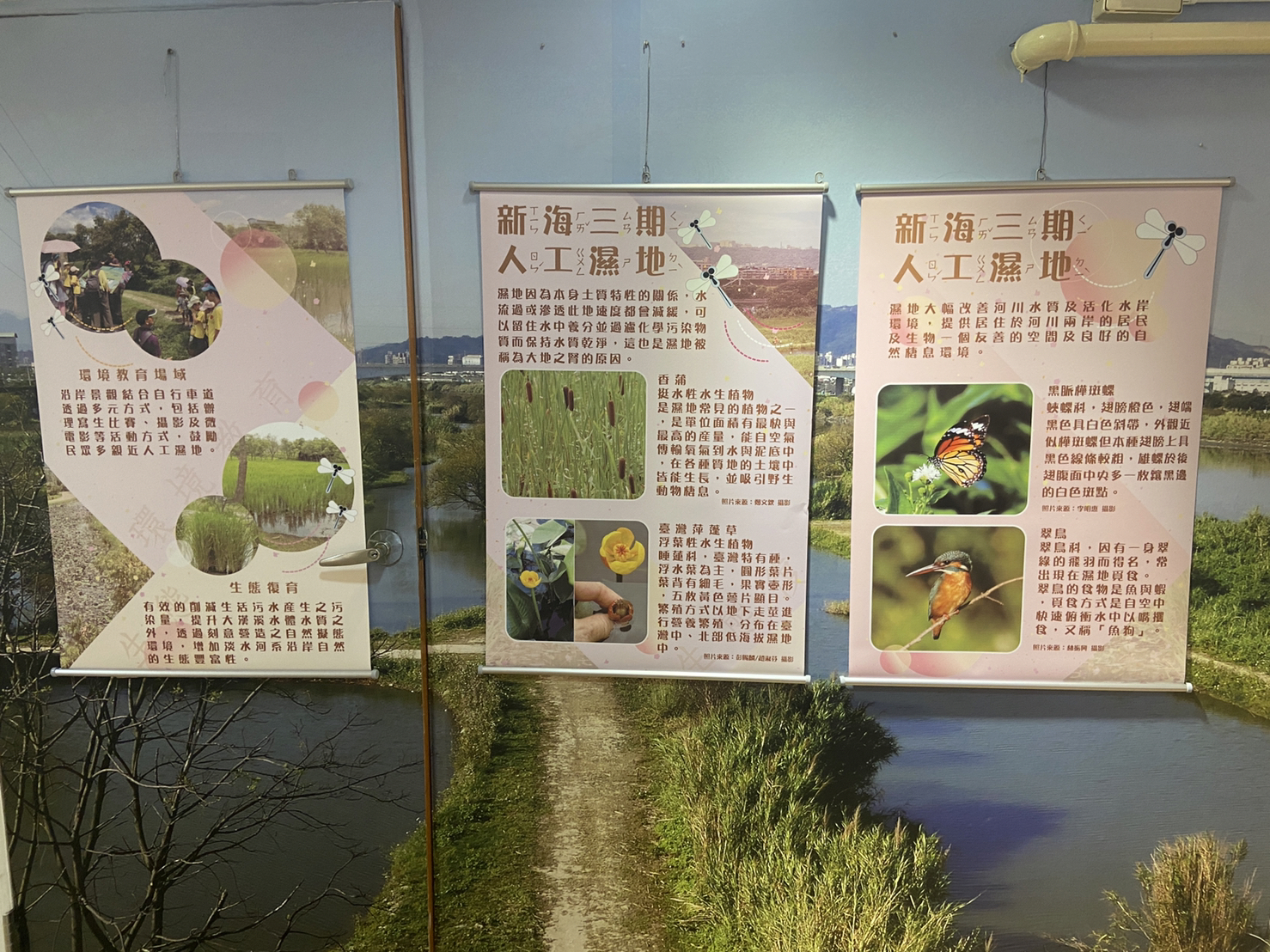 3.目前展出「水的設施」主題，主要介紹水資源的概況及問題，搭配水資源種類、水的相關設施及故事介紹.jpg