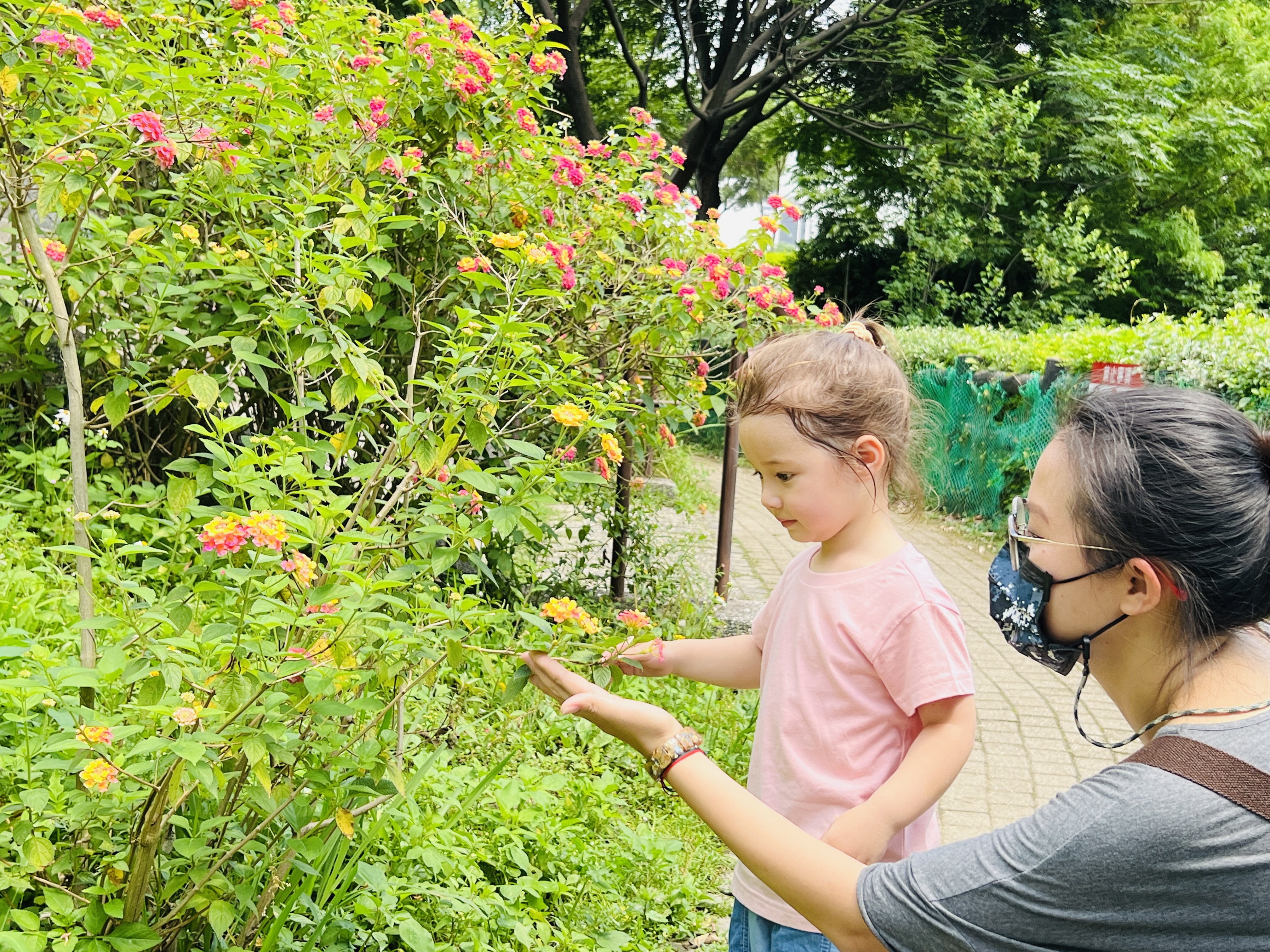 塭仔底濕地公園是城市裡最富裕的生態後花園