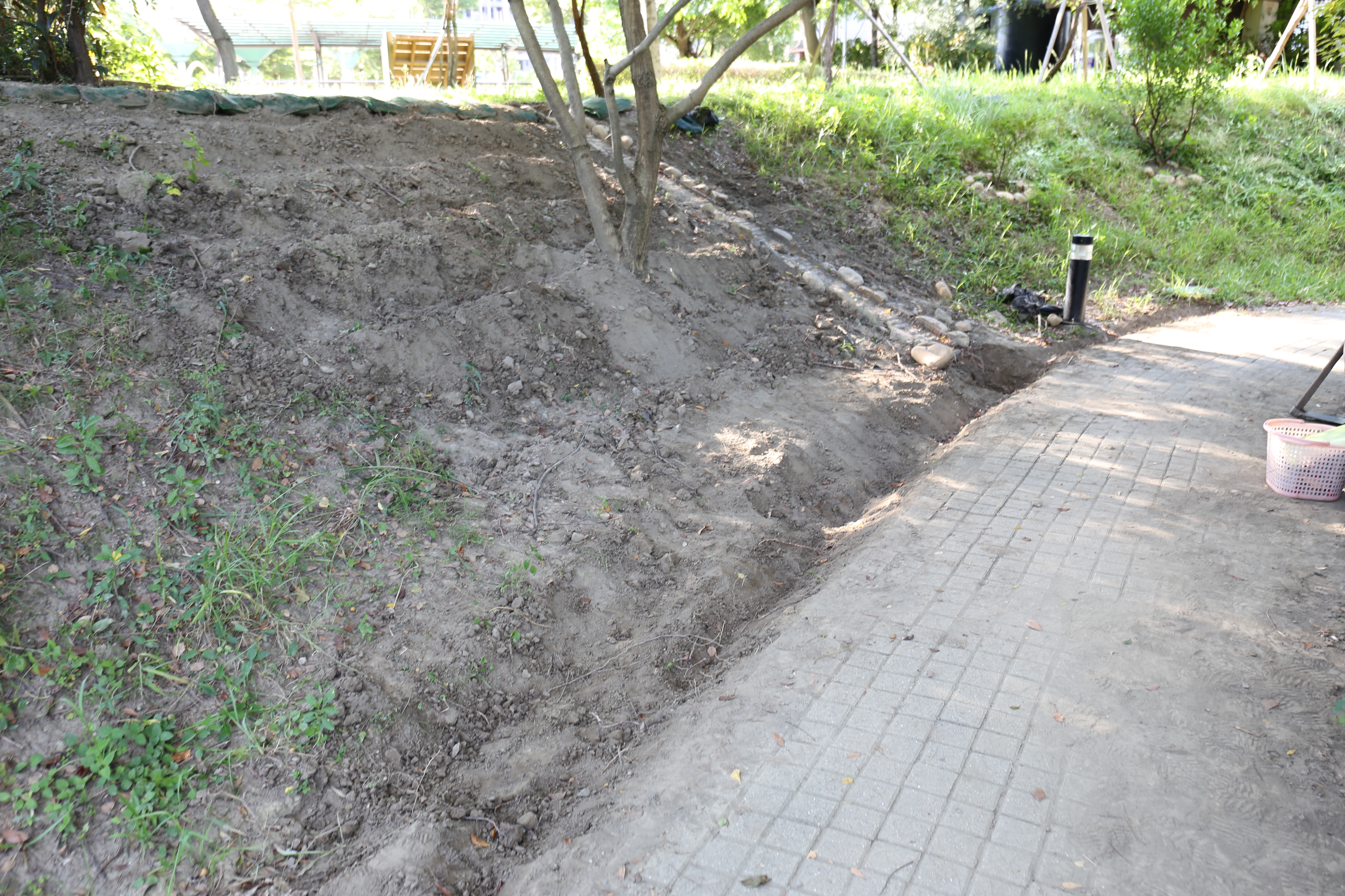 去年10月塭子底濕地公園滯洪池邊坡裸化情形