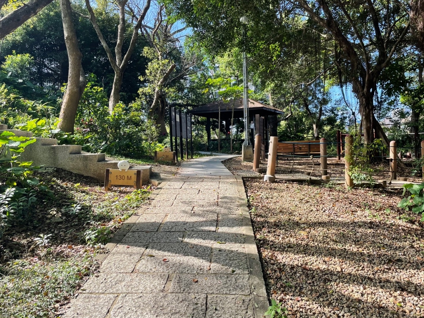 自強公園登山路線的設置