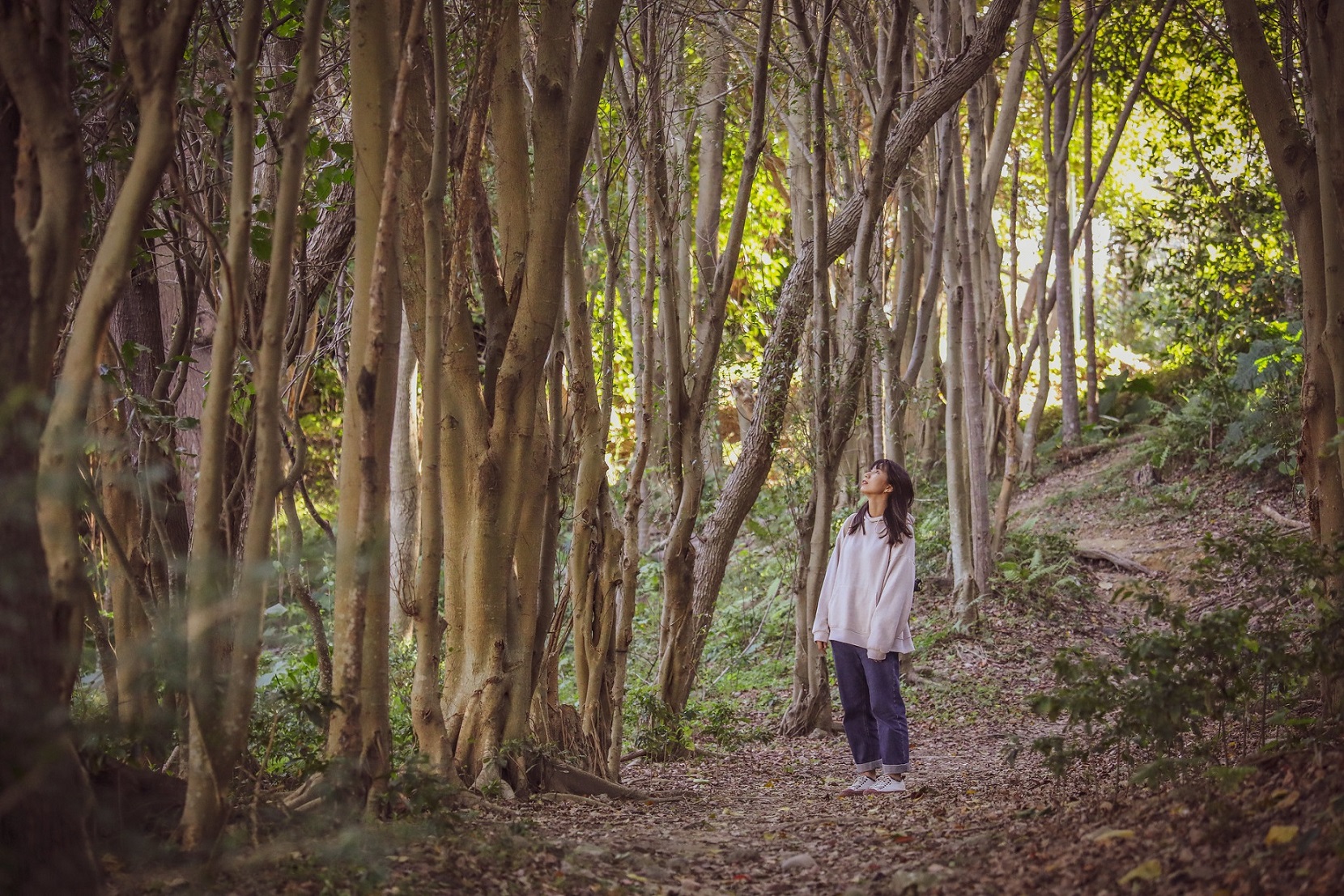 位於人口密集都會區的自強公園充滿綠意，讓民眾可以親近自然放鬆身心