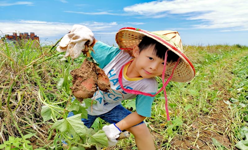 經發局青春山海線伴手禮首創「買禮盒、送遊程」方案，帶領民眾暢遊北海岸風光