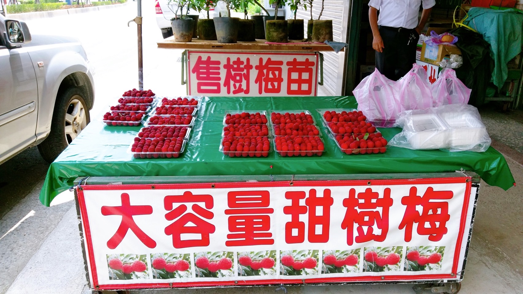 歡迎民眾來到「大容量果園」購買樹梅，或是透過臉書下訂，樹梅會在採摘後以冷藏宅配方式送到大家手中