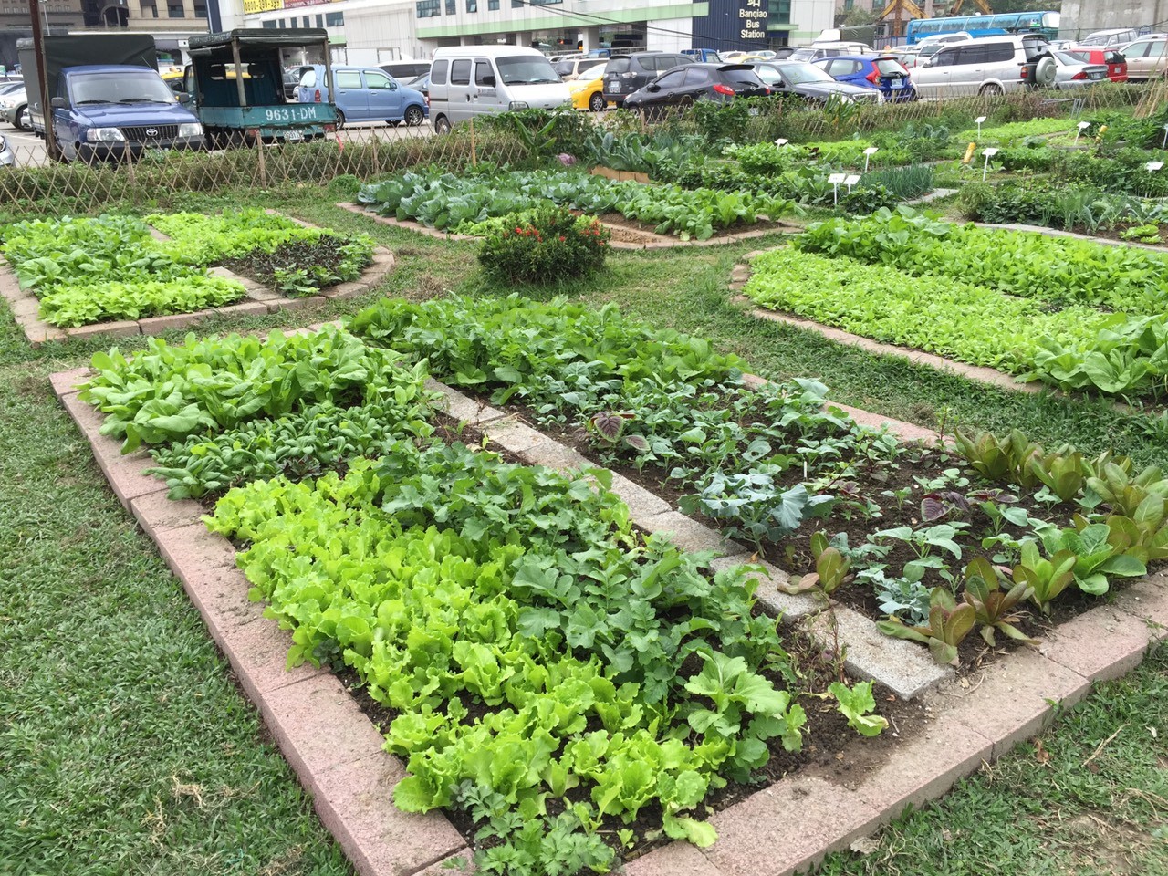 都市農夫 －營造可食地景園圃不但可以降低環境負擔、改善生活品質，也是跟親朋好友聊天活動筋骨的好方法