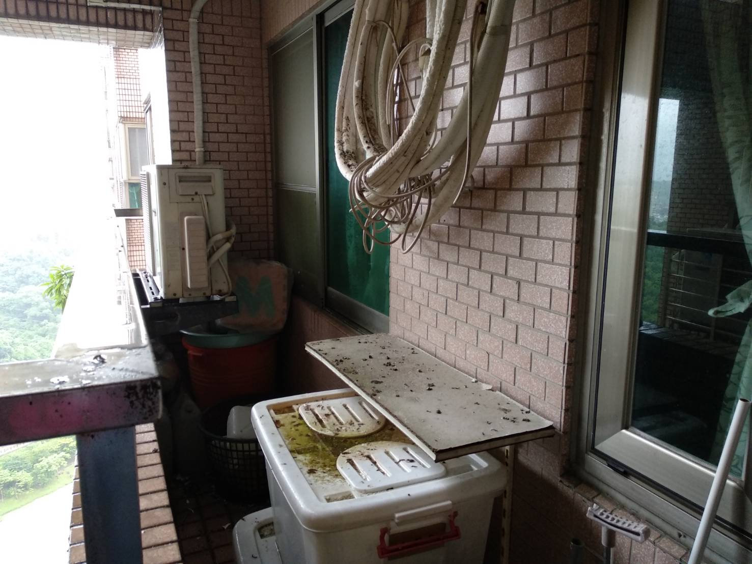 首先要驅離住家周圍駐停禽鳥，清理鳥糞及移除鳥巢解決根本來源。