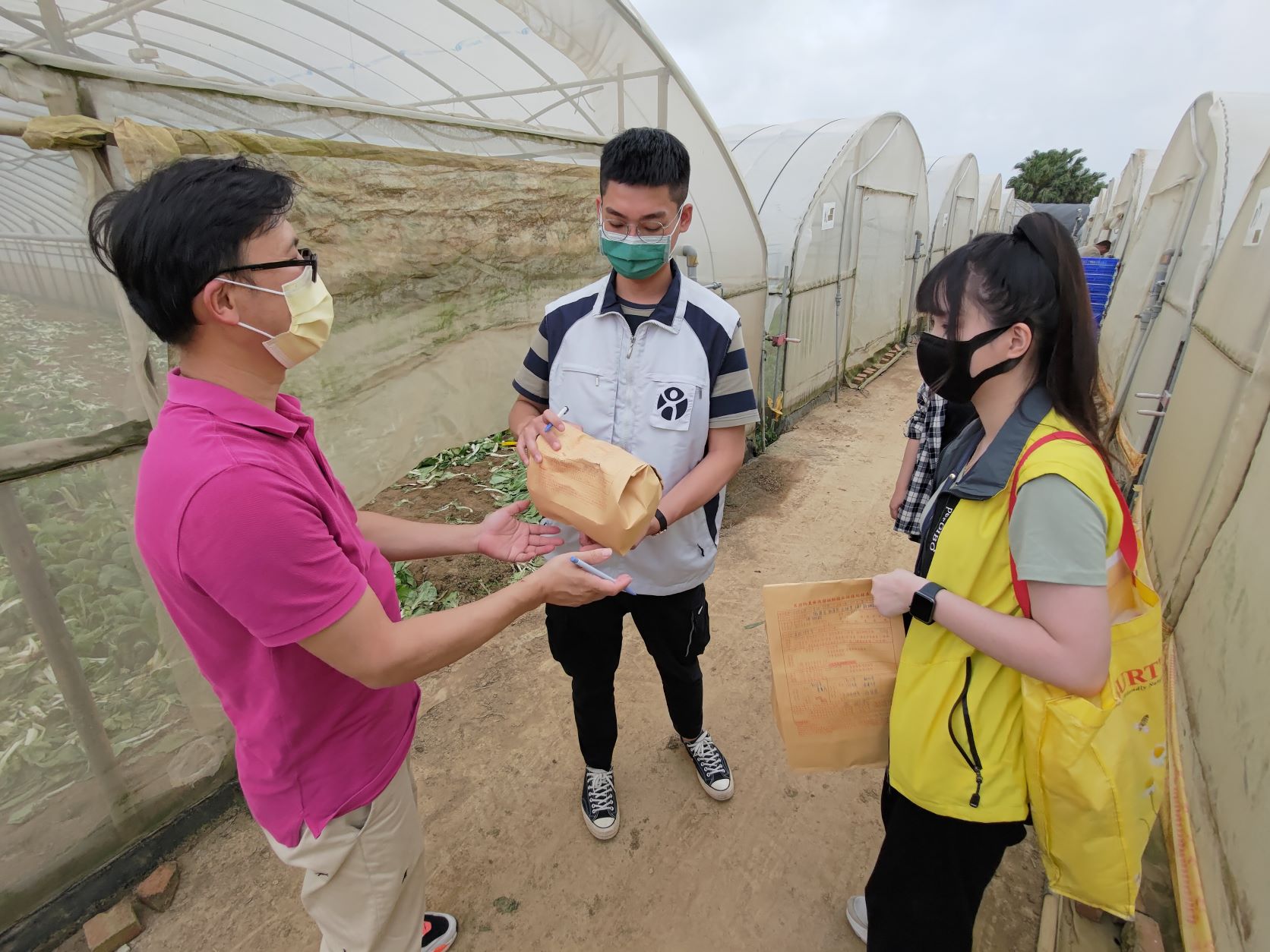 新北市政府到有機農場抽驗有機食材