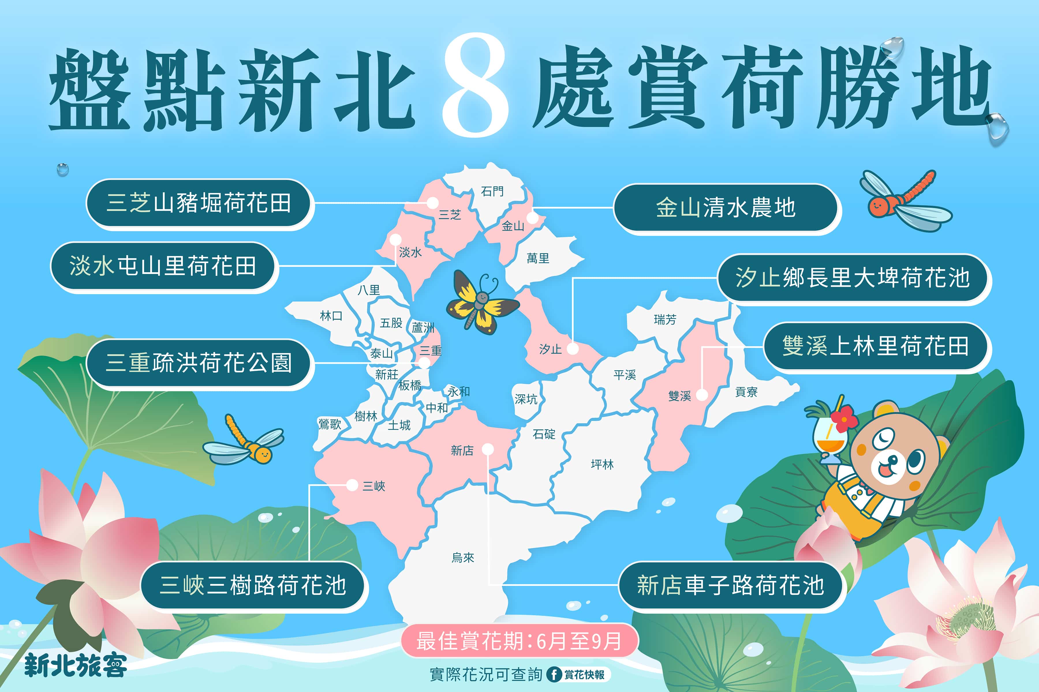 新北賞荷8處勝地，快來蒐集各地荷花美照