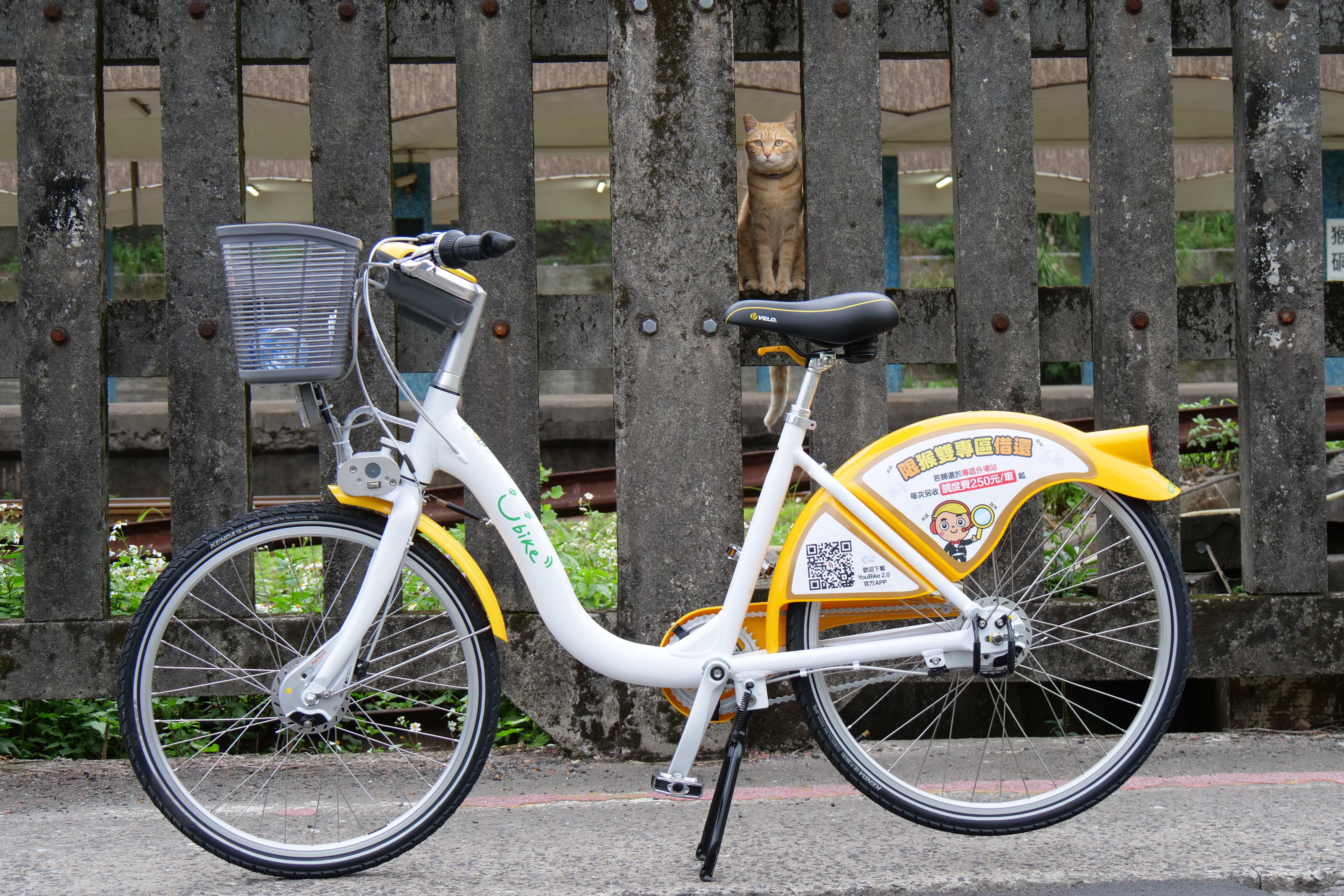 猴雙公共自行車YouBike2.0