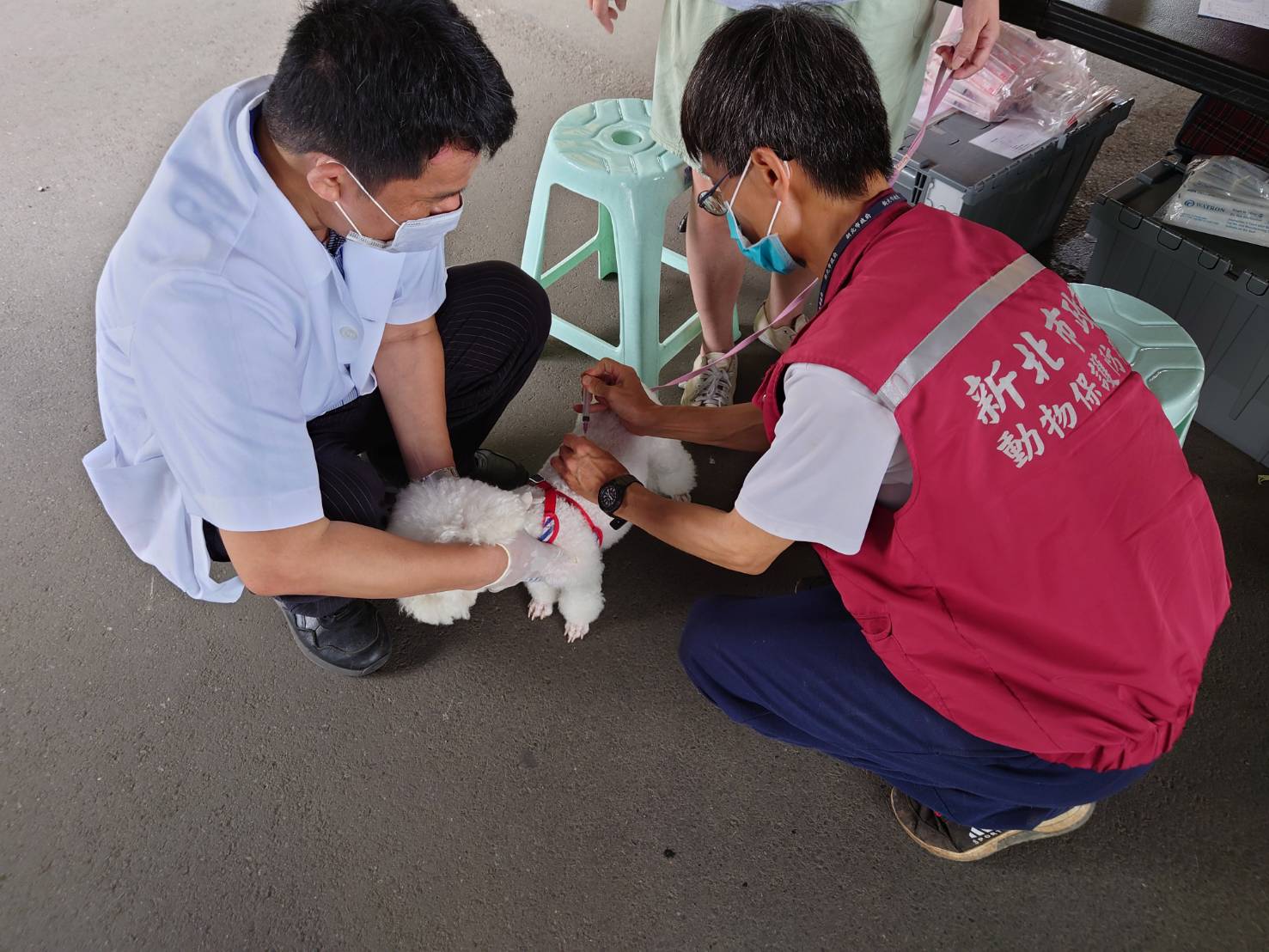 近期有多場假日寵物公園狂犬病疫苗巡迴免費注射活動，歡迎民眾上新北市動保處臉書查詢
