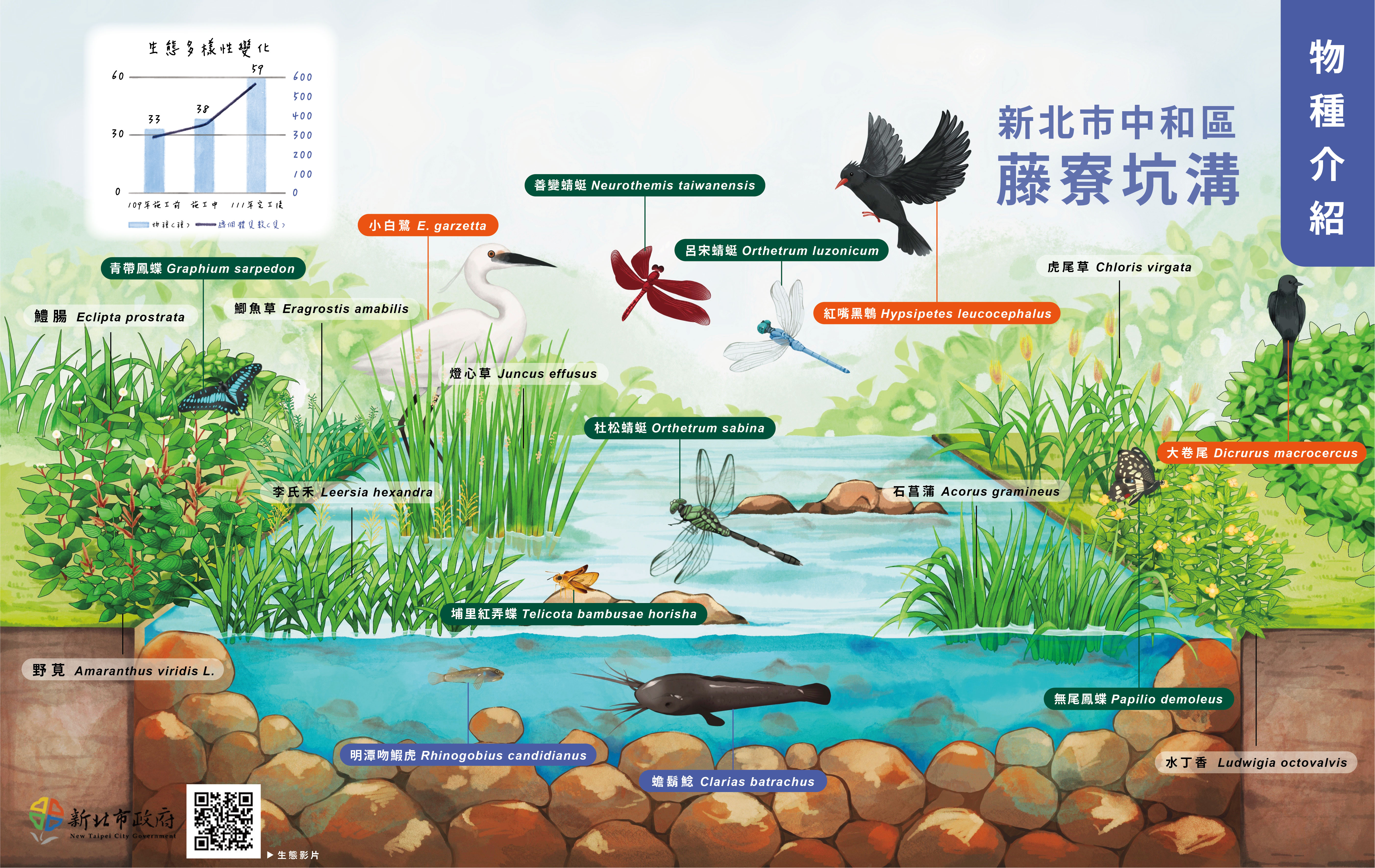 手繪童趣河川生態地圖休憩空間介紹