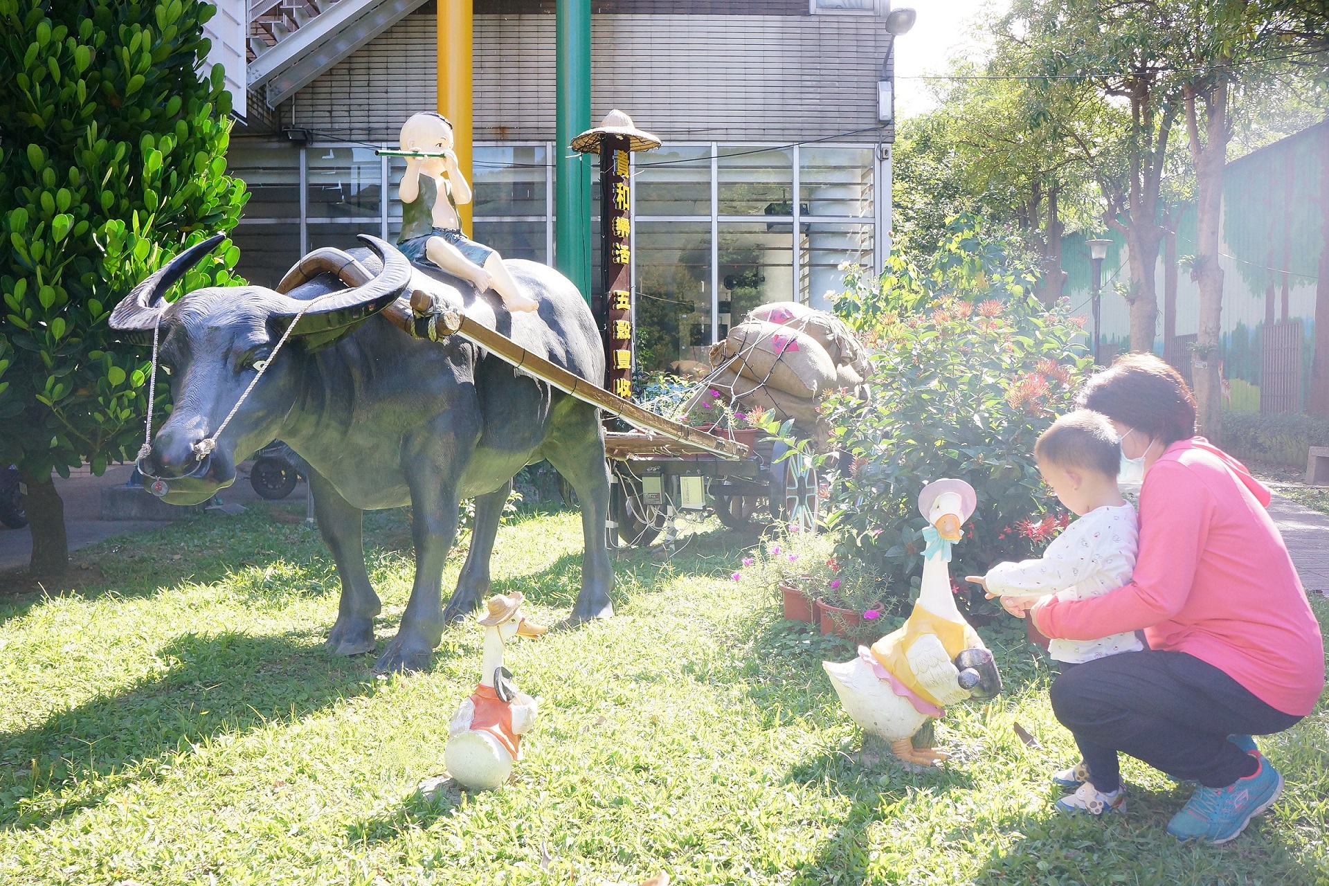 貴和公園-草地上正在務農的水牛及鵝