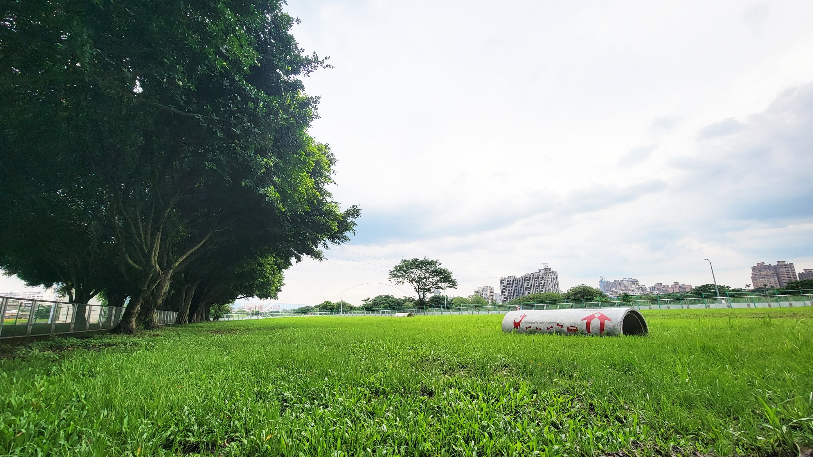 新莊寵物公園-讓毛小孩們冒險玩樂的混凝土管