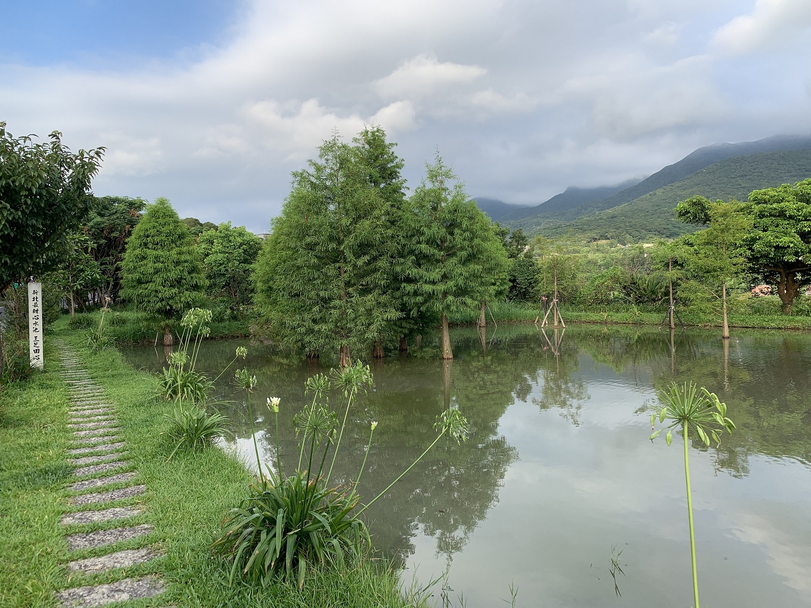 新北最甜心水池「三芝田心」1