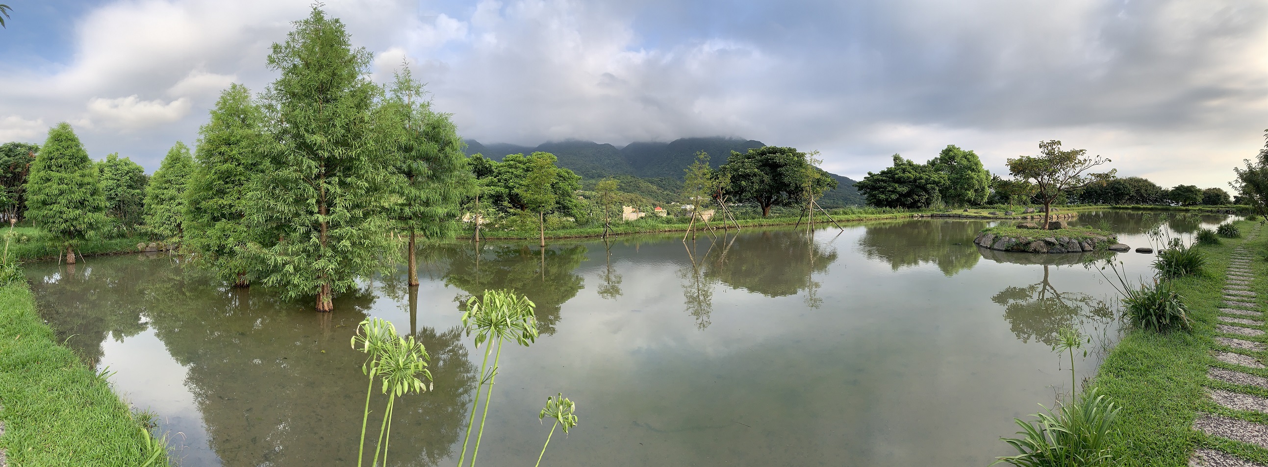 新北最甜心水池「三芝田心」2