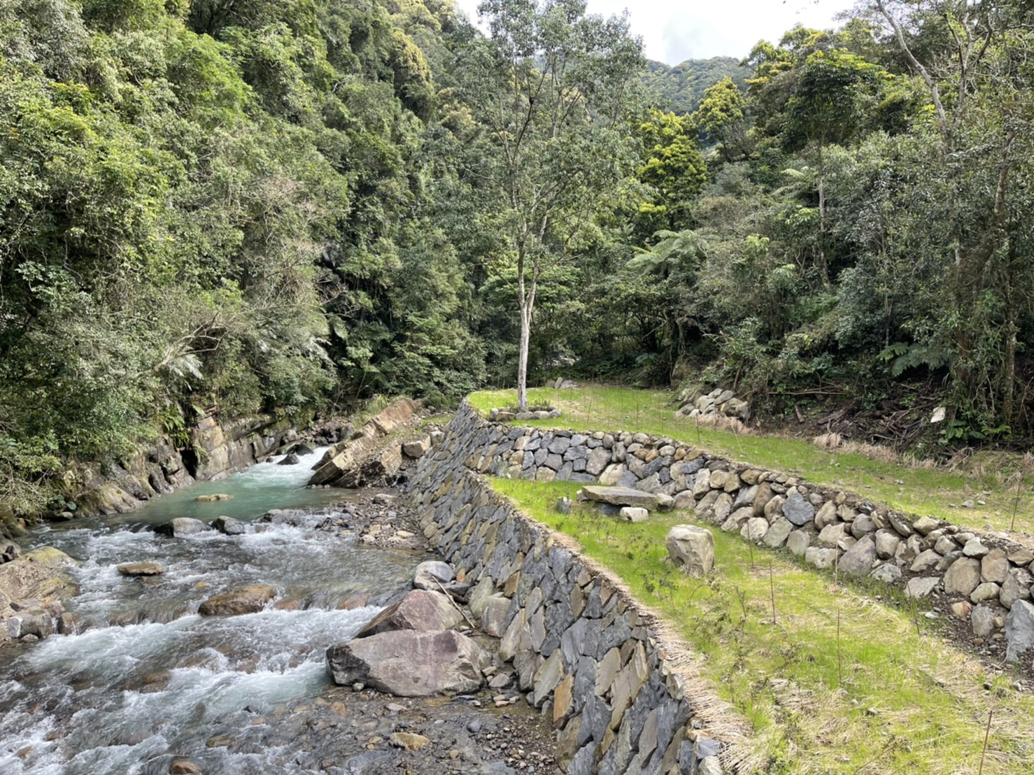 熊空橋設計保留河道大石與大樹