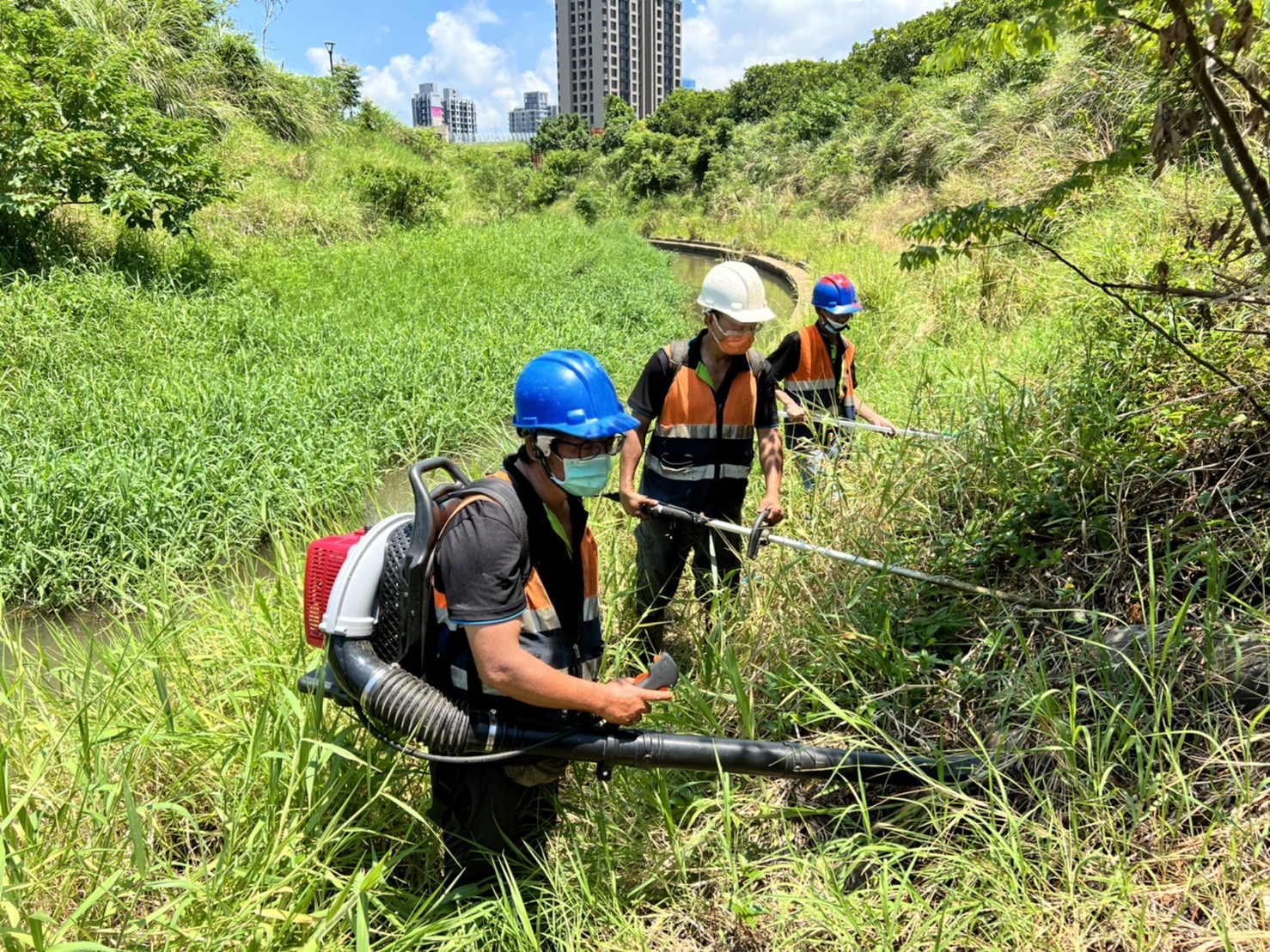  水利局進行公司田溪環境維護