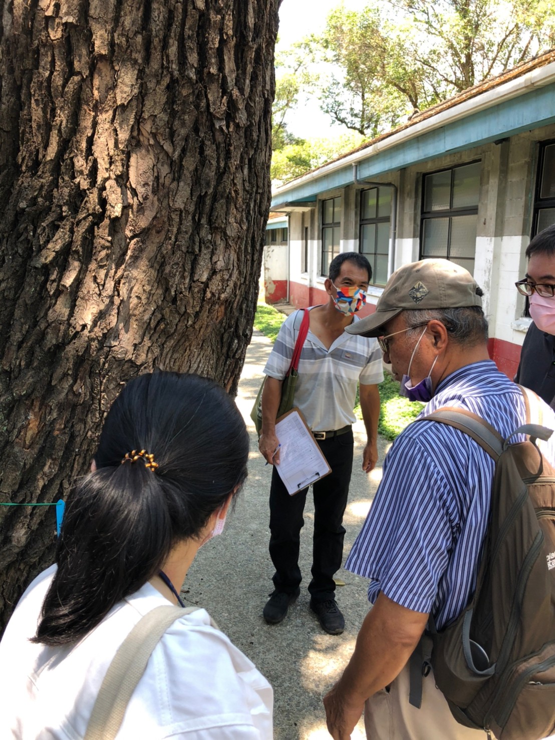  新北市樹木保護委員共同至現場確認樹木生長情形