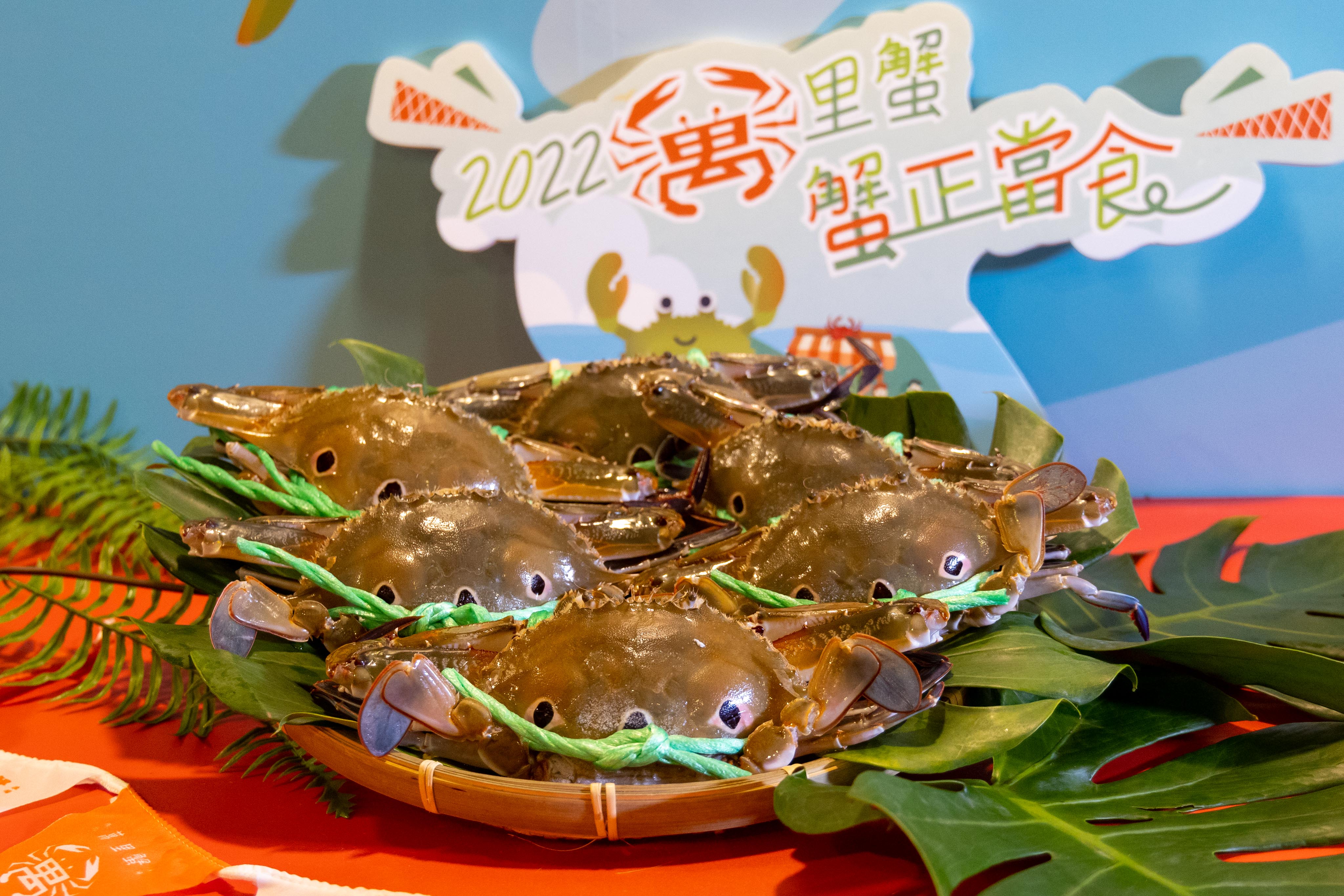 2022新北萬里蟹新鮮上市