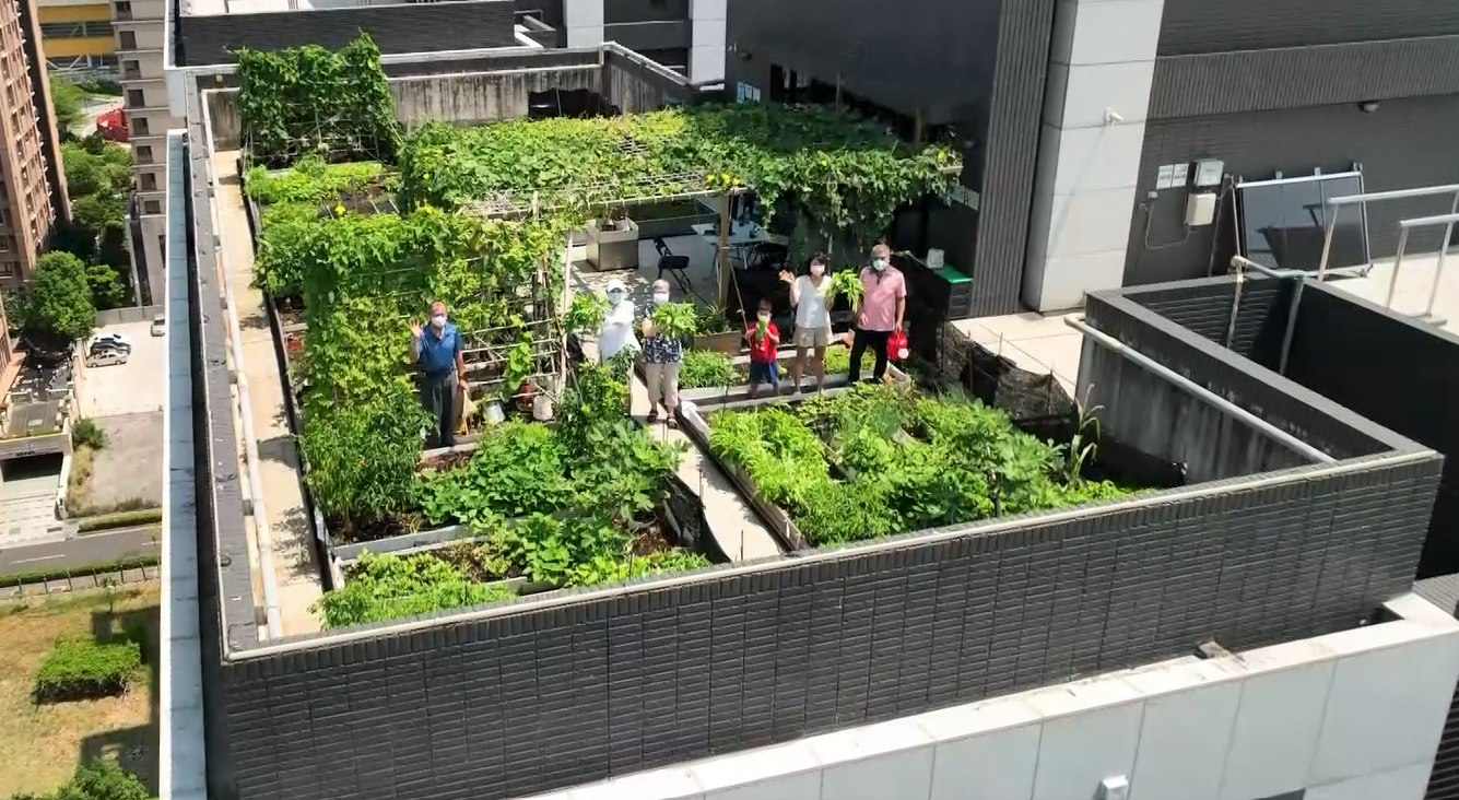 6.淡水「川普寬庭社區」屋頂設置屋頂農場、水生植物池，隔熱降溫