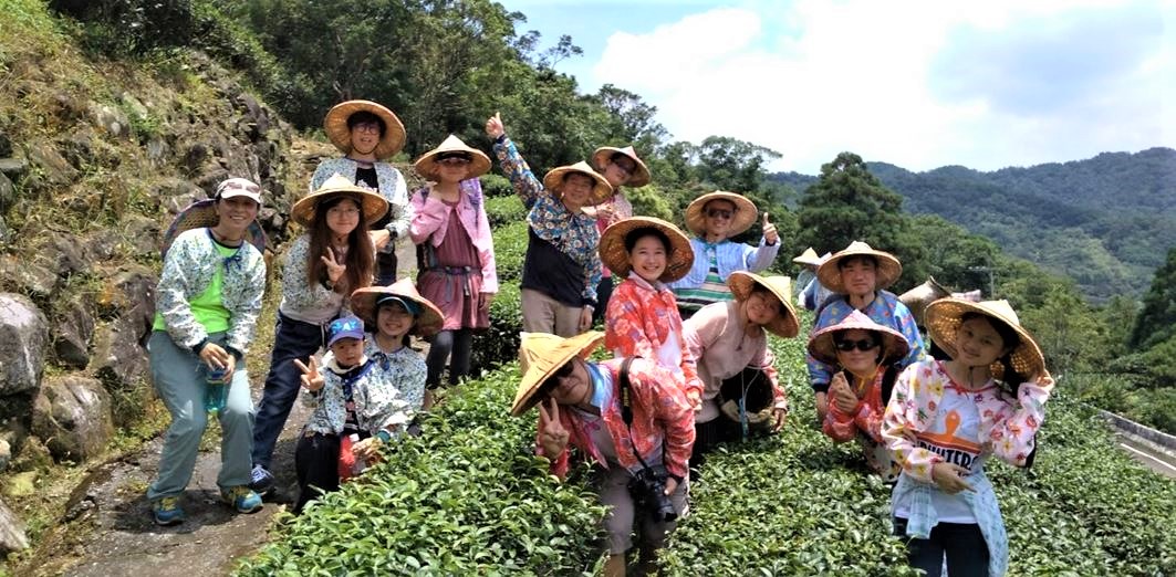 「藍鵲茶採茶體驗與生態守護」帶領大家來到坪林茶園，體驗古法採茶、製茶