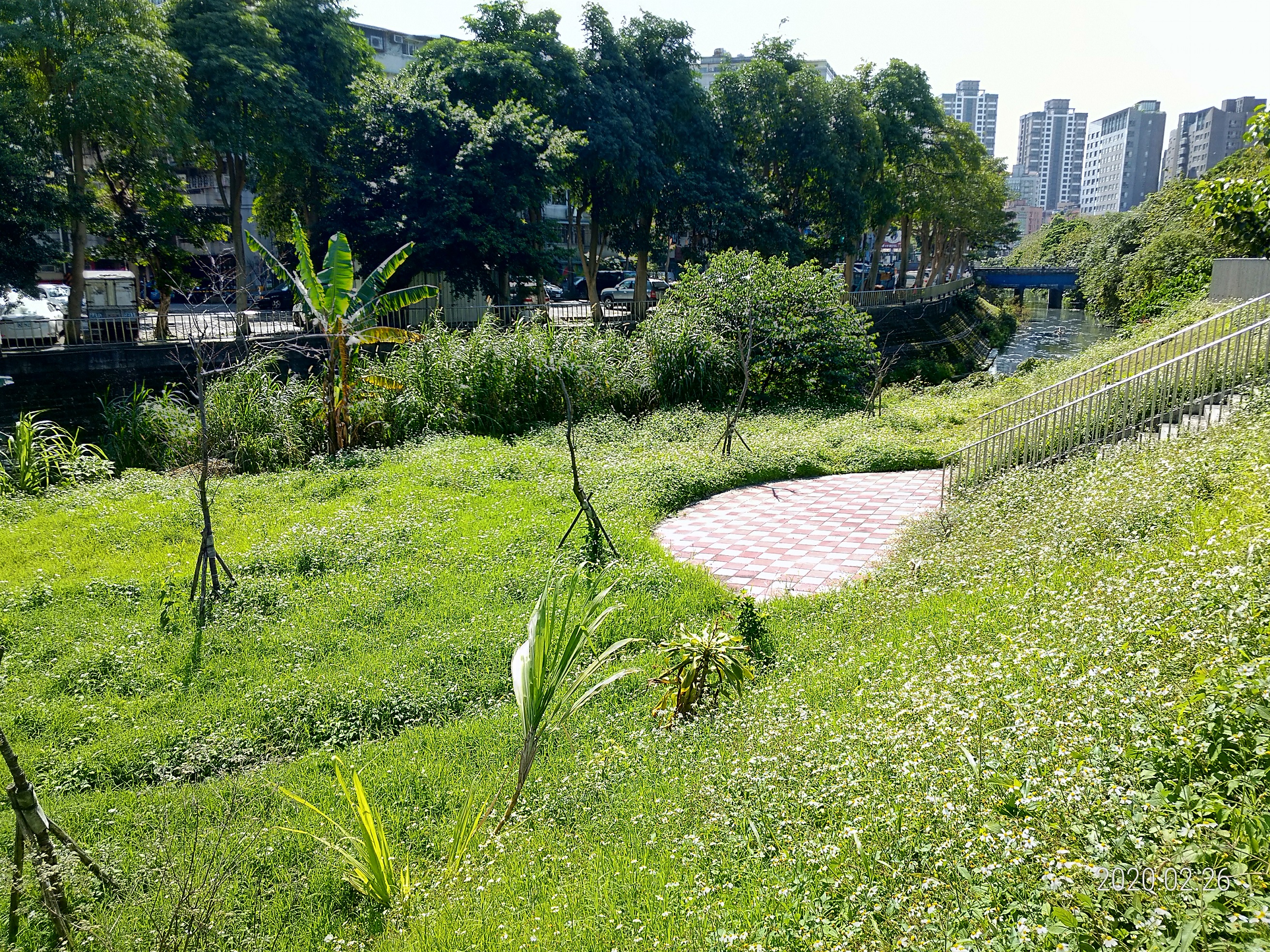 瓦磘溝礫間曝氣槽施工前基地樣貌