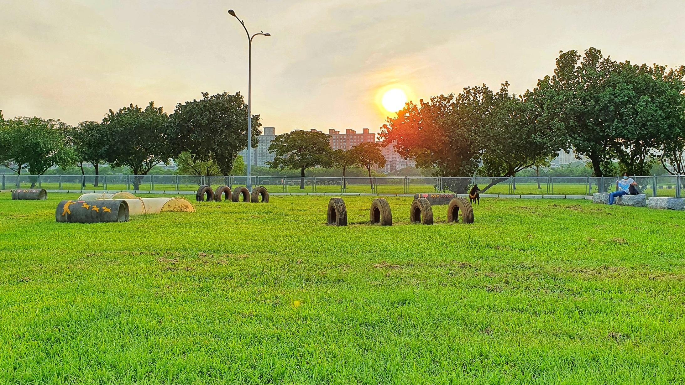 浮洲寵物公園-寬闊的草坪以及河濱美景