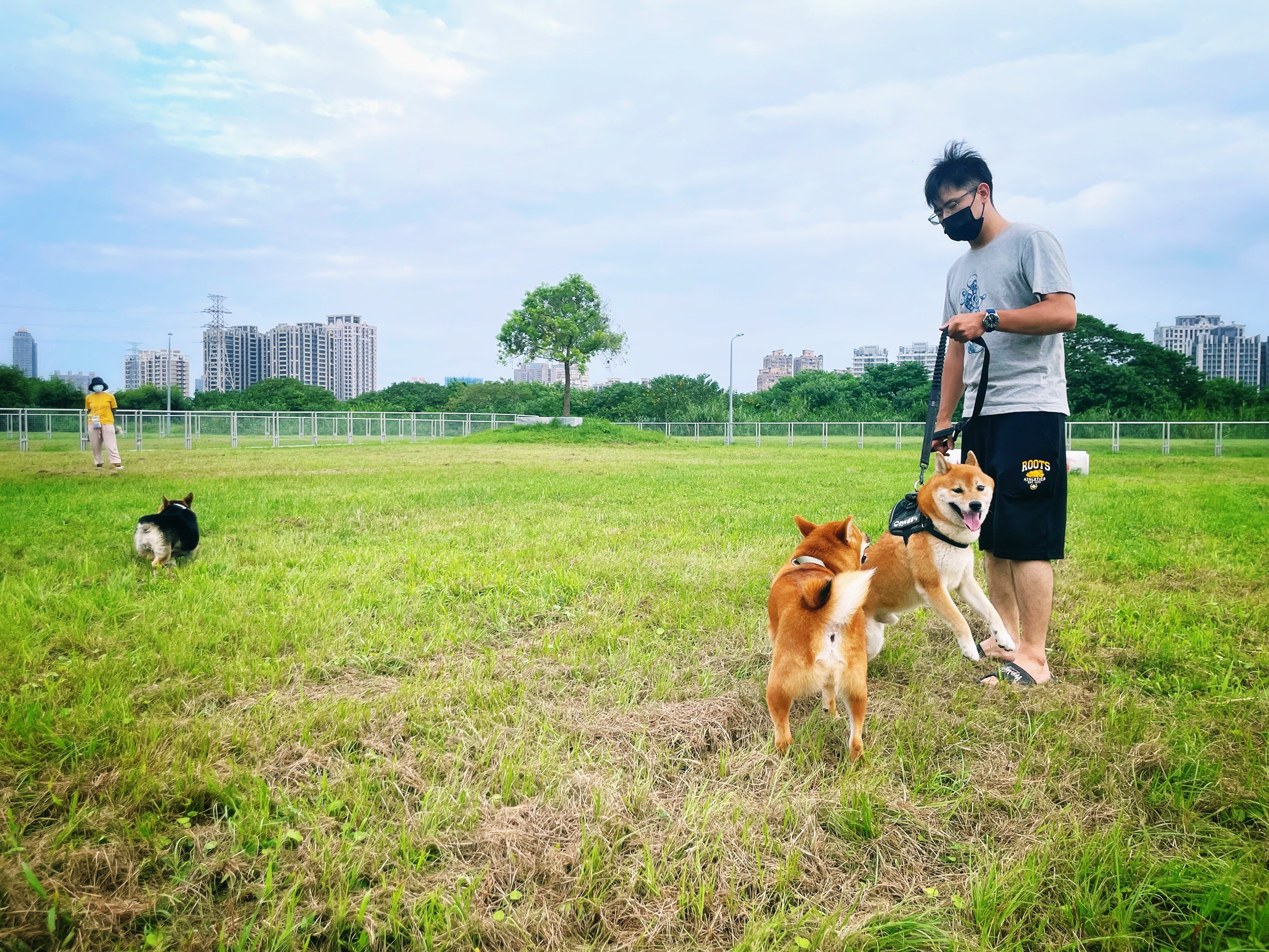 新莊寵物公園-帶毛孩子來河濱寵物公園放風是周邊都會區民眾的首選