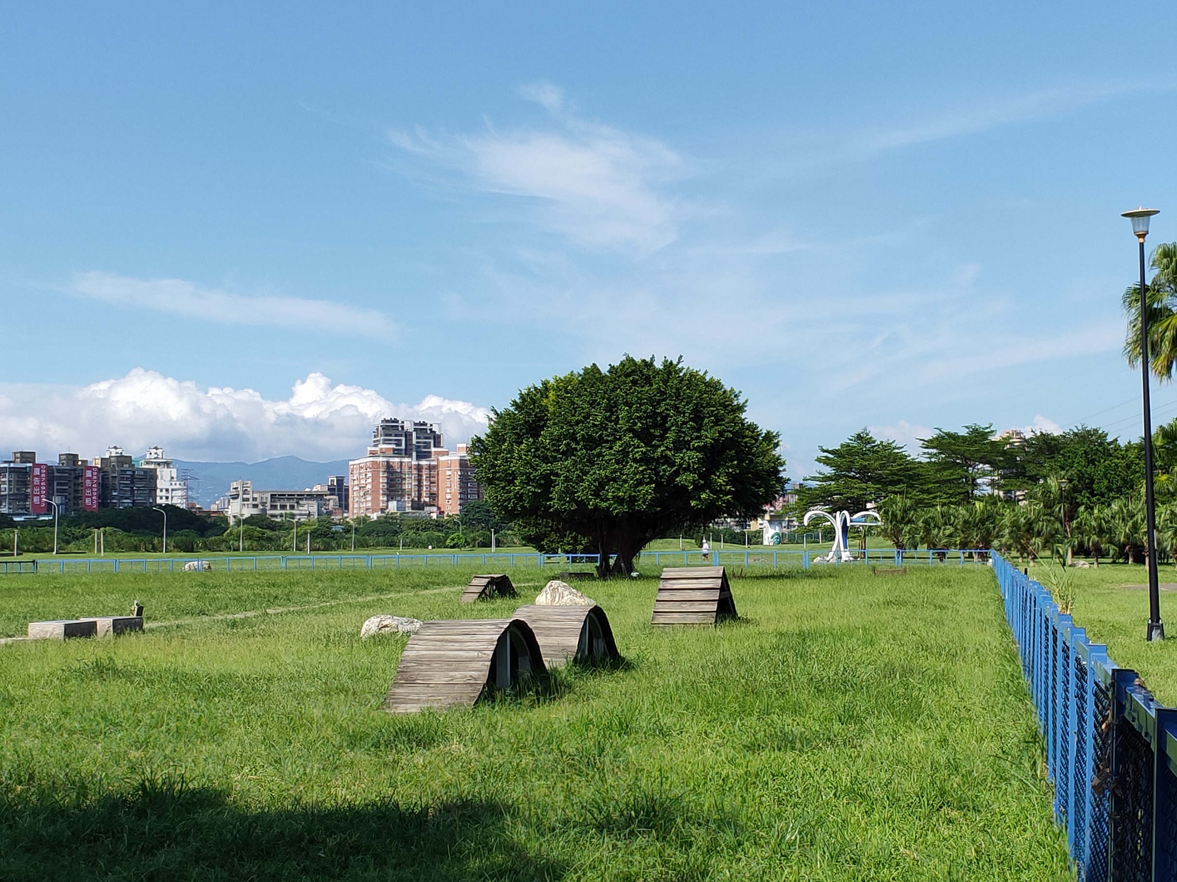 綠寶石寵物公園-場內的棧橋等都是熱門好玩的設施